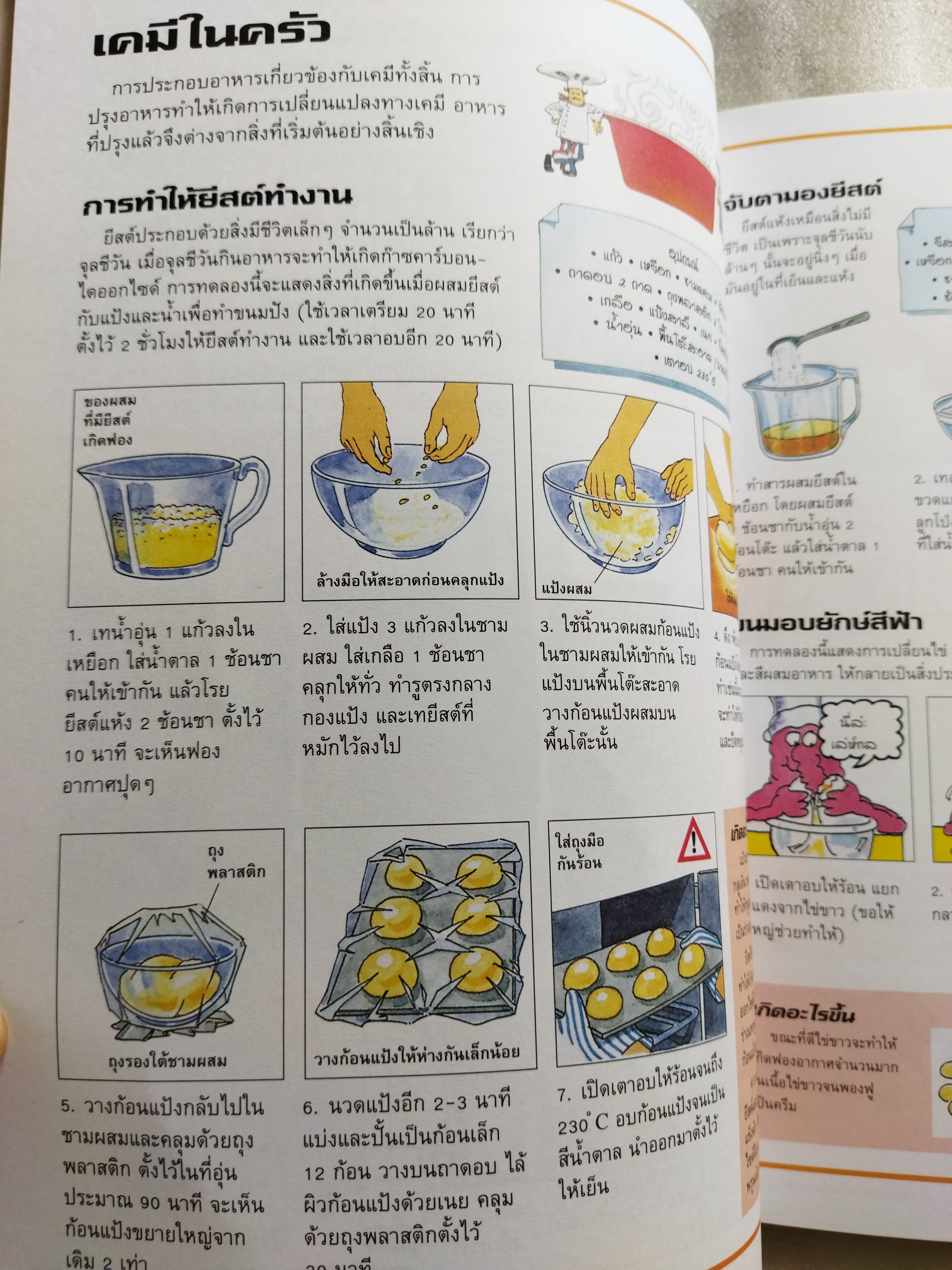 สนุกสุดท้าทายกับการทดลอง