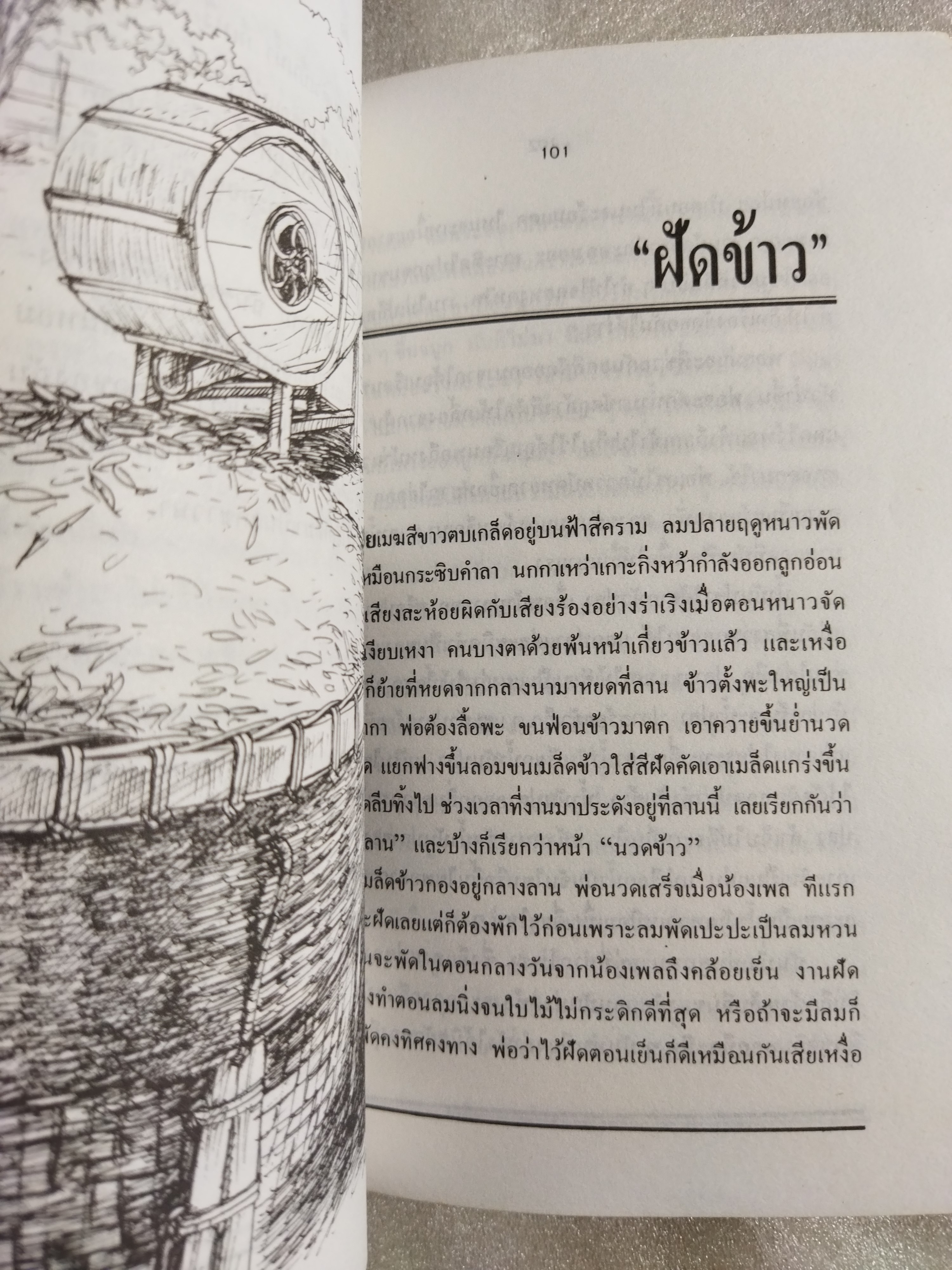 ลูกชาวนา / ละเอียด นวลปลั่ง