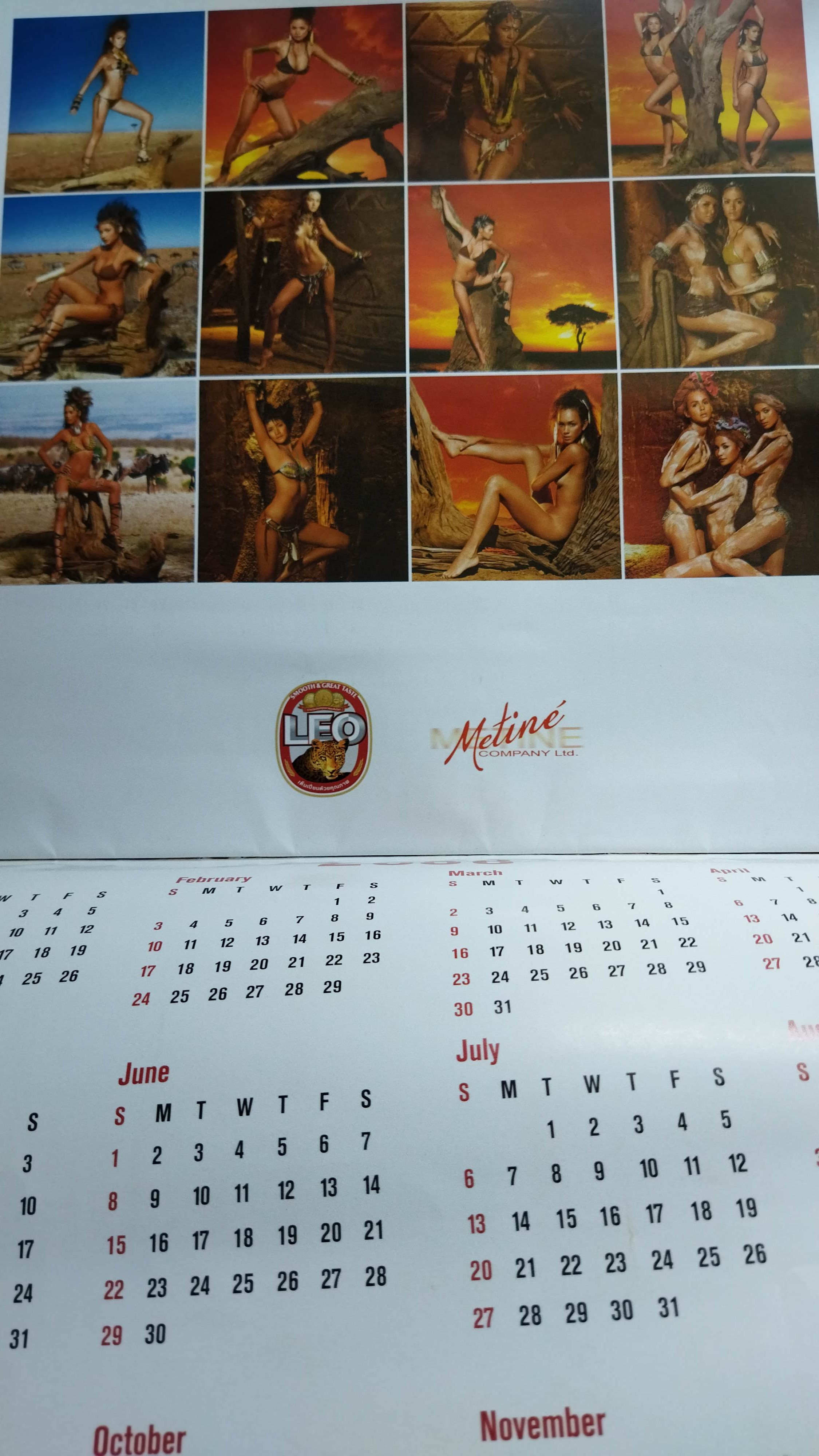 Leo in Safari / ปฏิทิน 2007