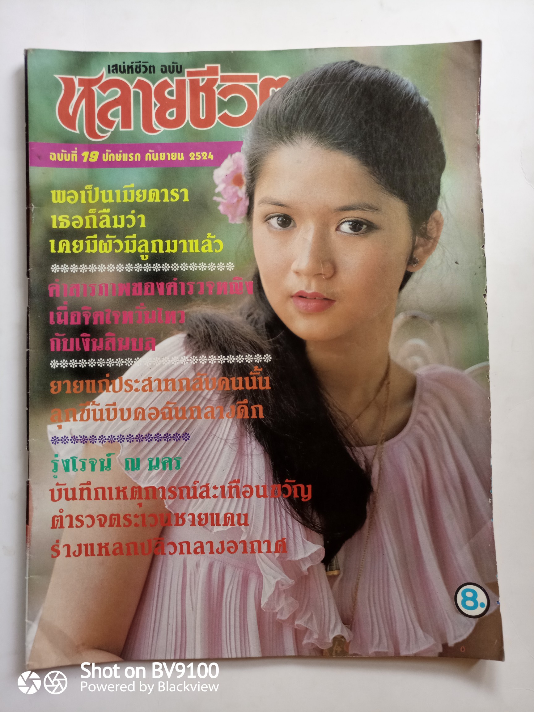 หลายชีวิต 19