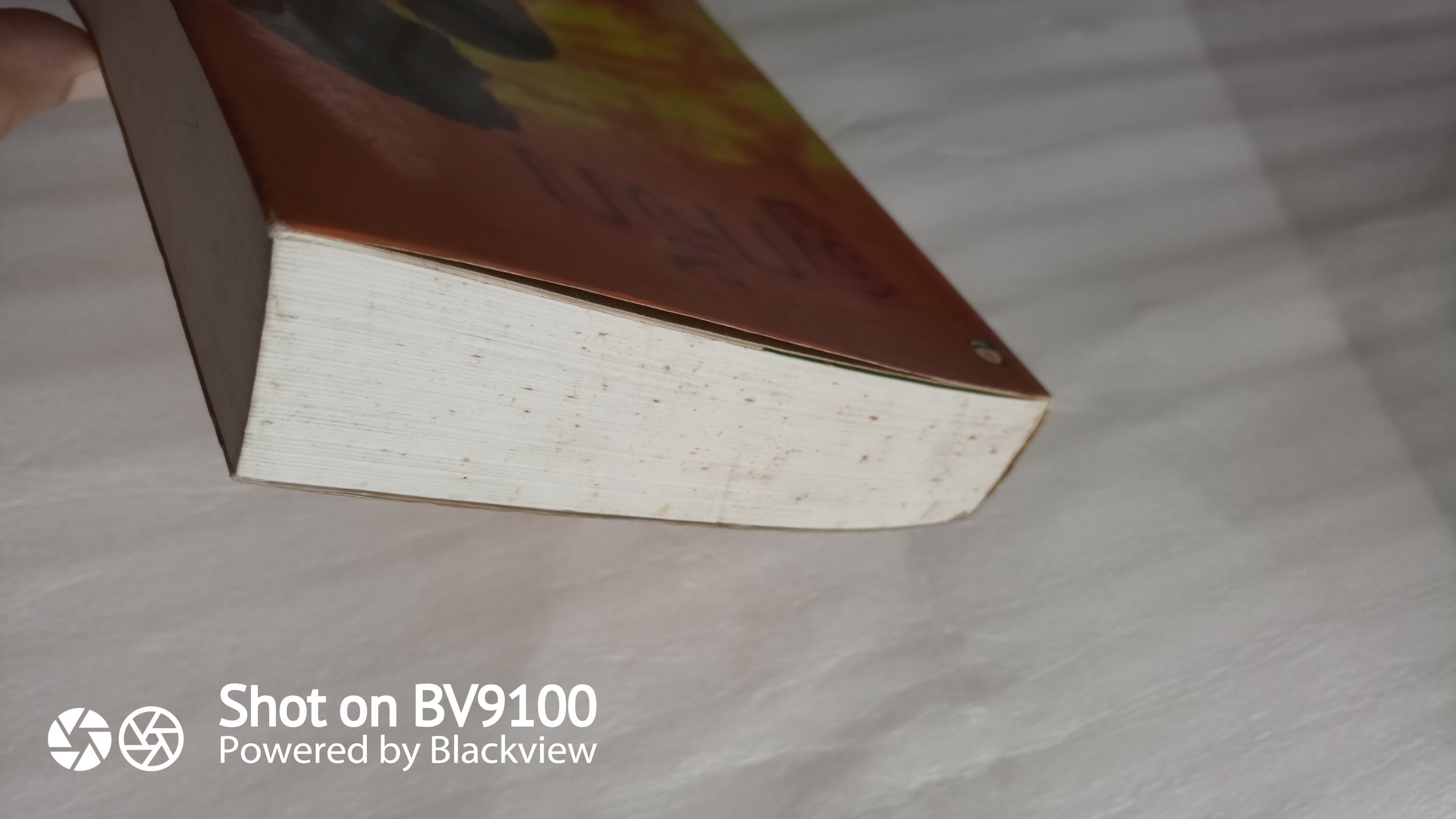 ลูกรัก / สุวรรณี สุคนธา