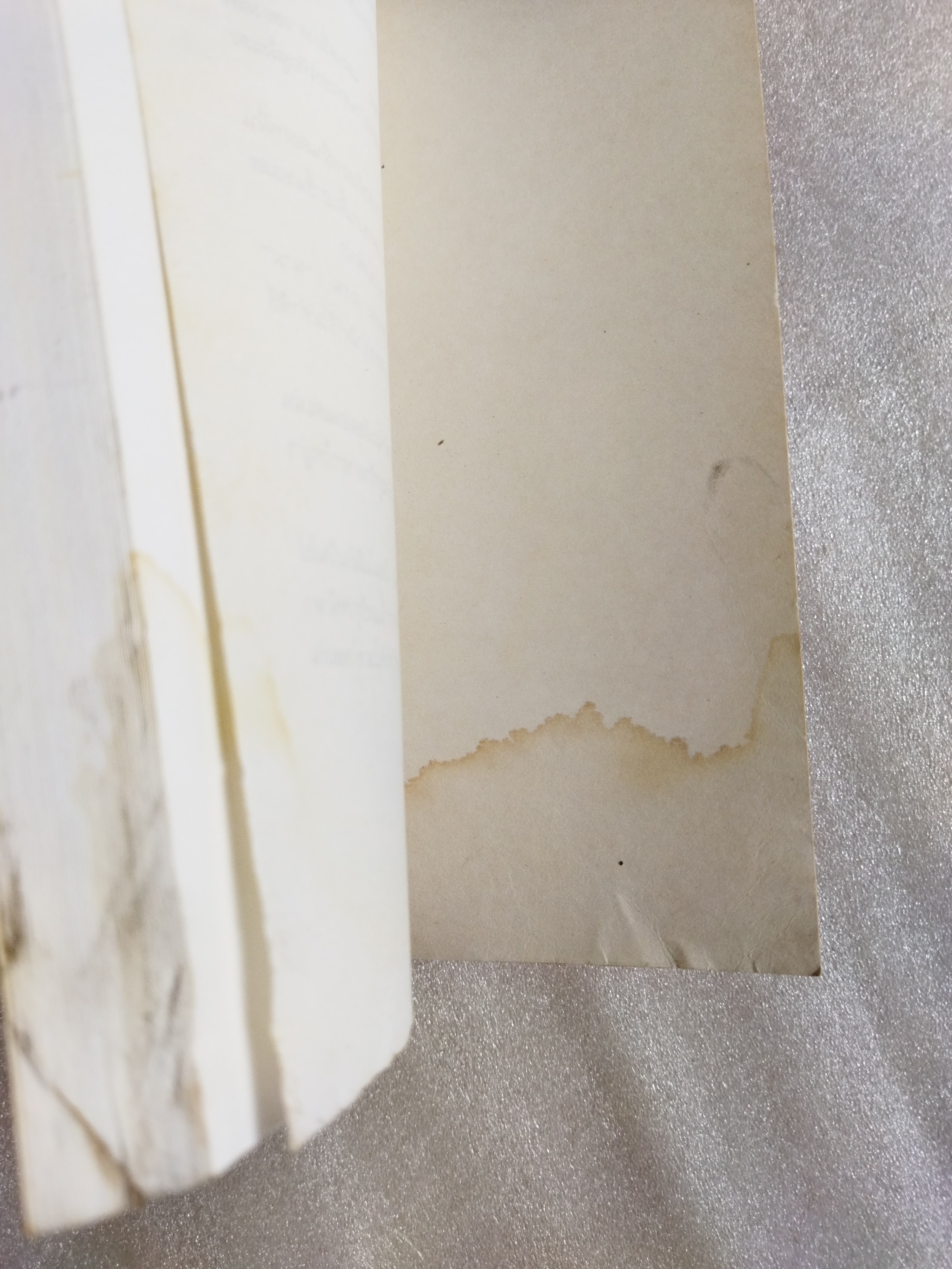 ครูตีนช้าง /คำพูน บุญทวี