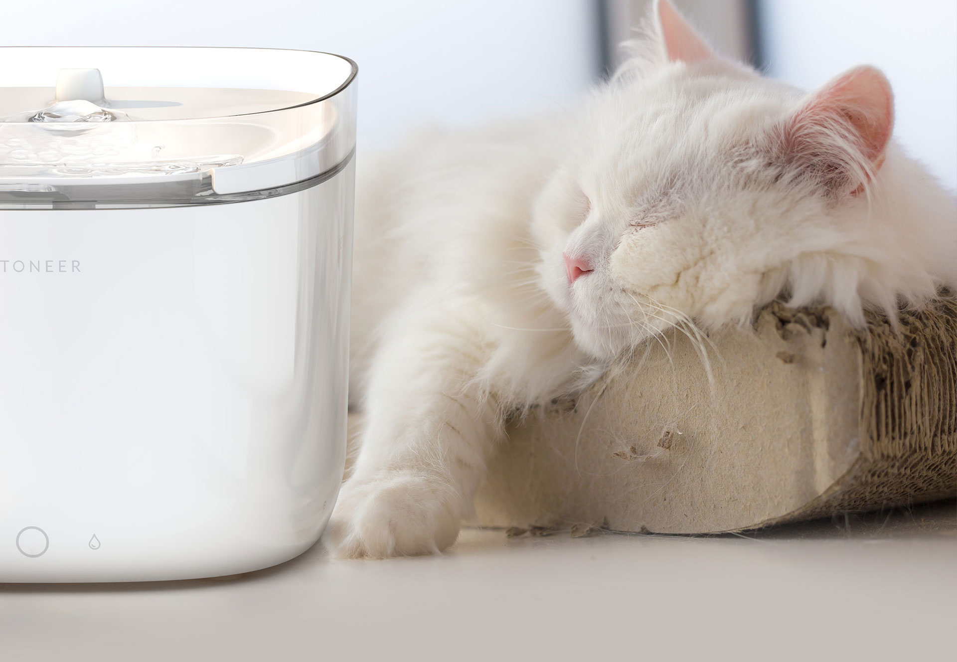 Petoneer เพ็ทโอเนียร์ น้ำพุแมวแบบกรองน้ำ ไวไฟพร้อมระบบฆ่าเชื้อ รุ่น FRESCO Mini Pro