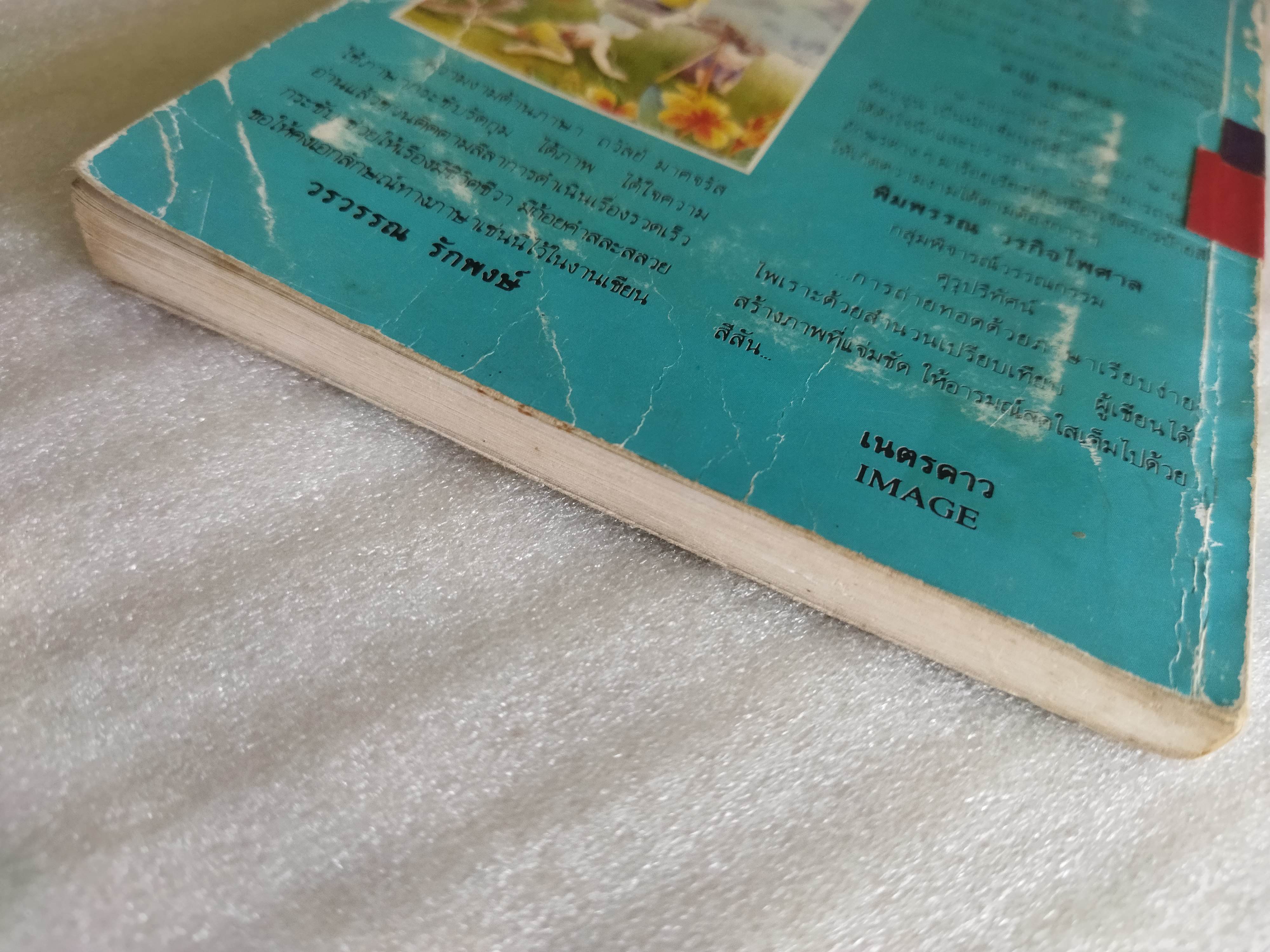 ในทุ่งกว้าง / ถวัลย์ มาศจรัส