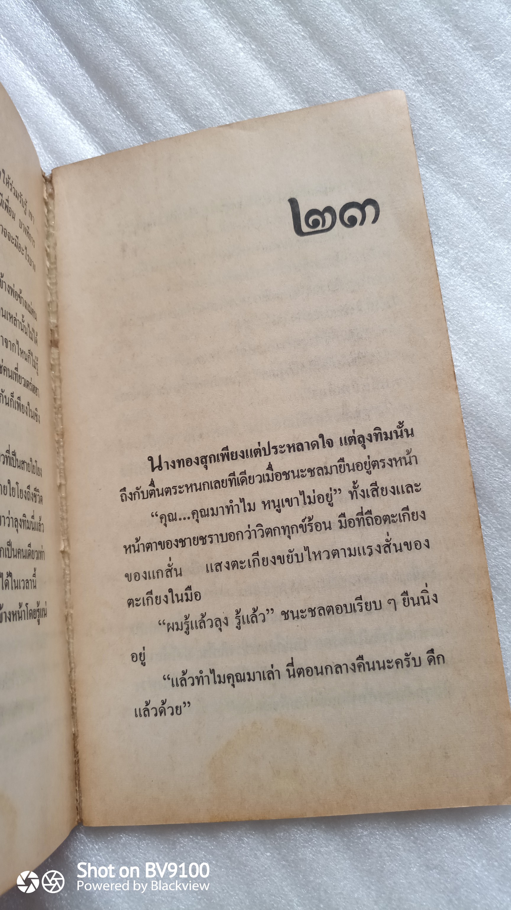 แม่เบี้ย / วานิช จรุงกิจอนันต์