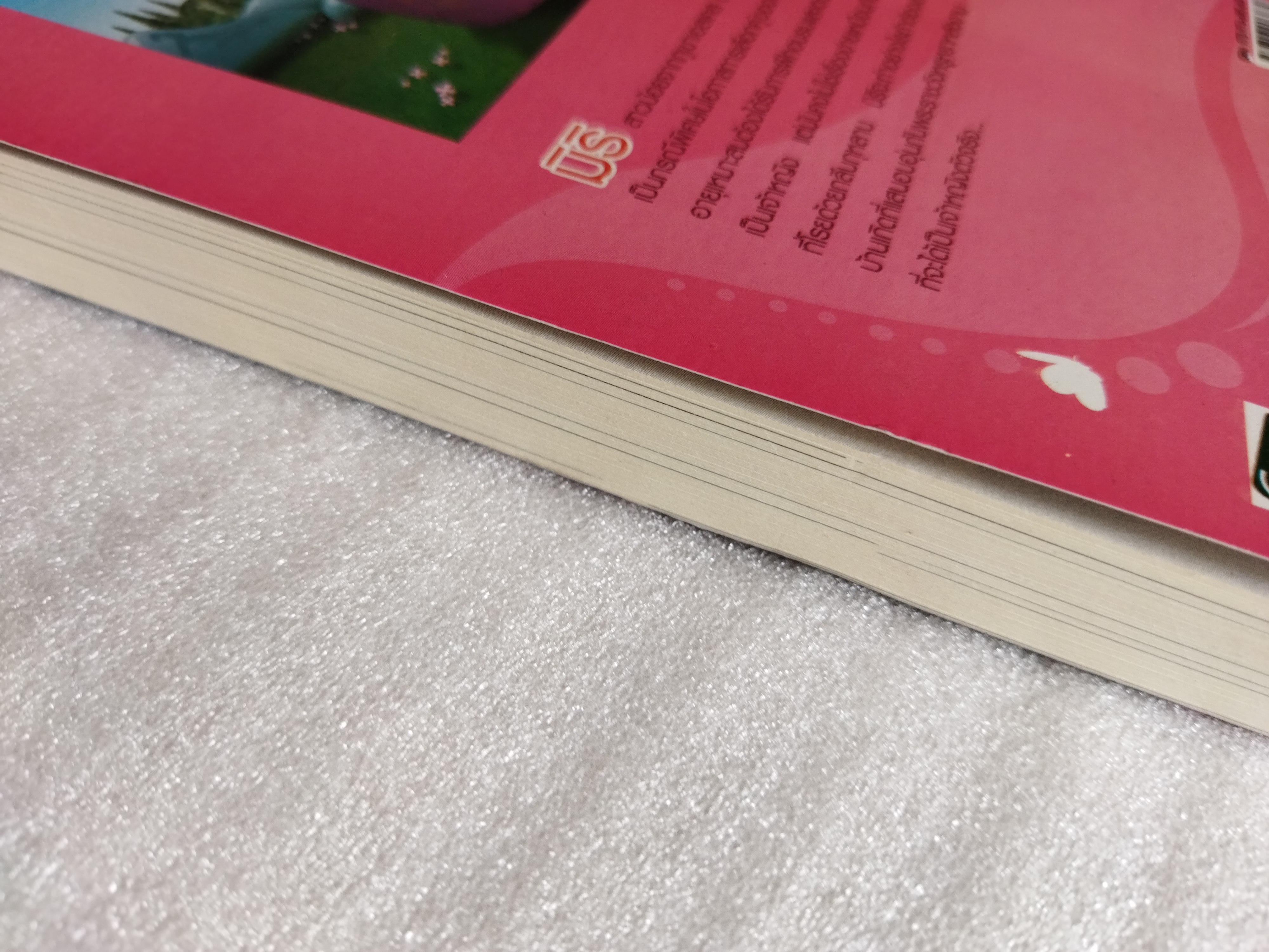 มหัศจรรย์โรงเรียนเจ้าหญิง