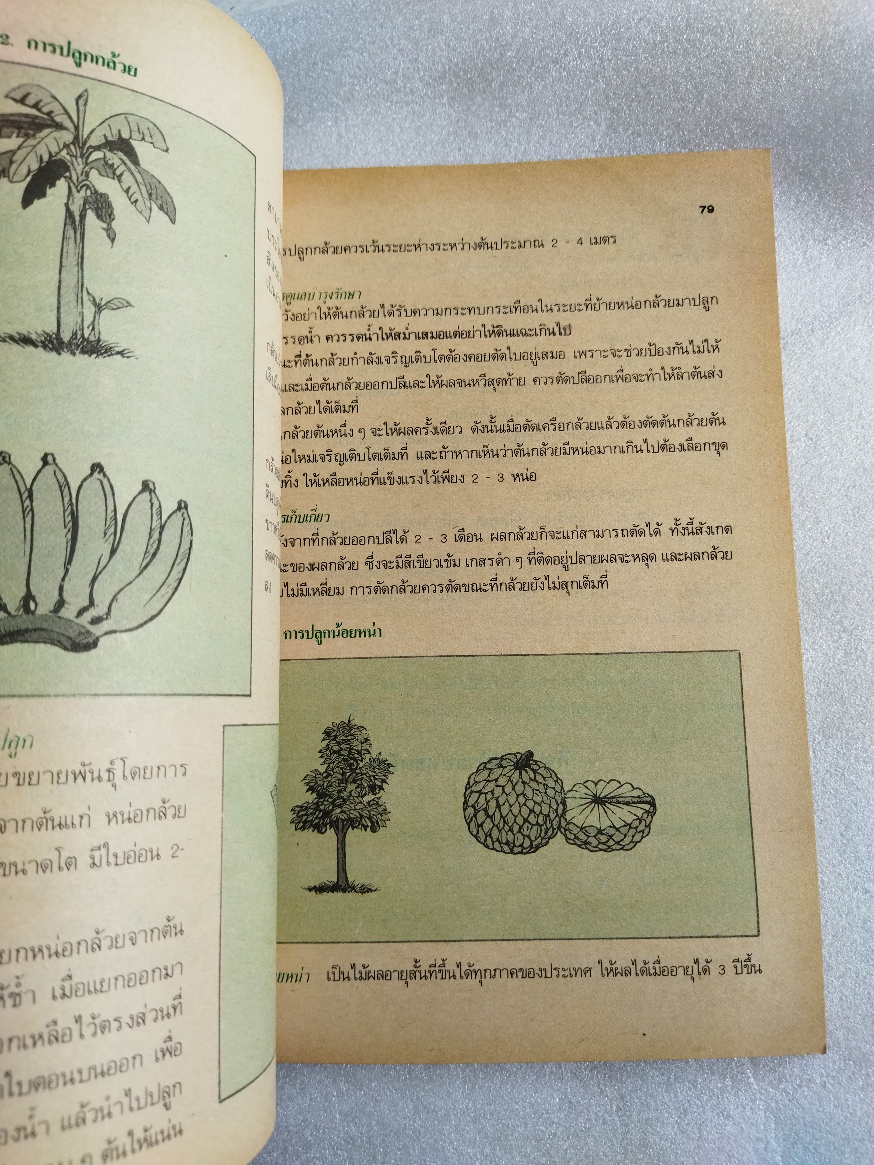 หนังสือเรียน กพอ ฉบับพิเศษ ป.3