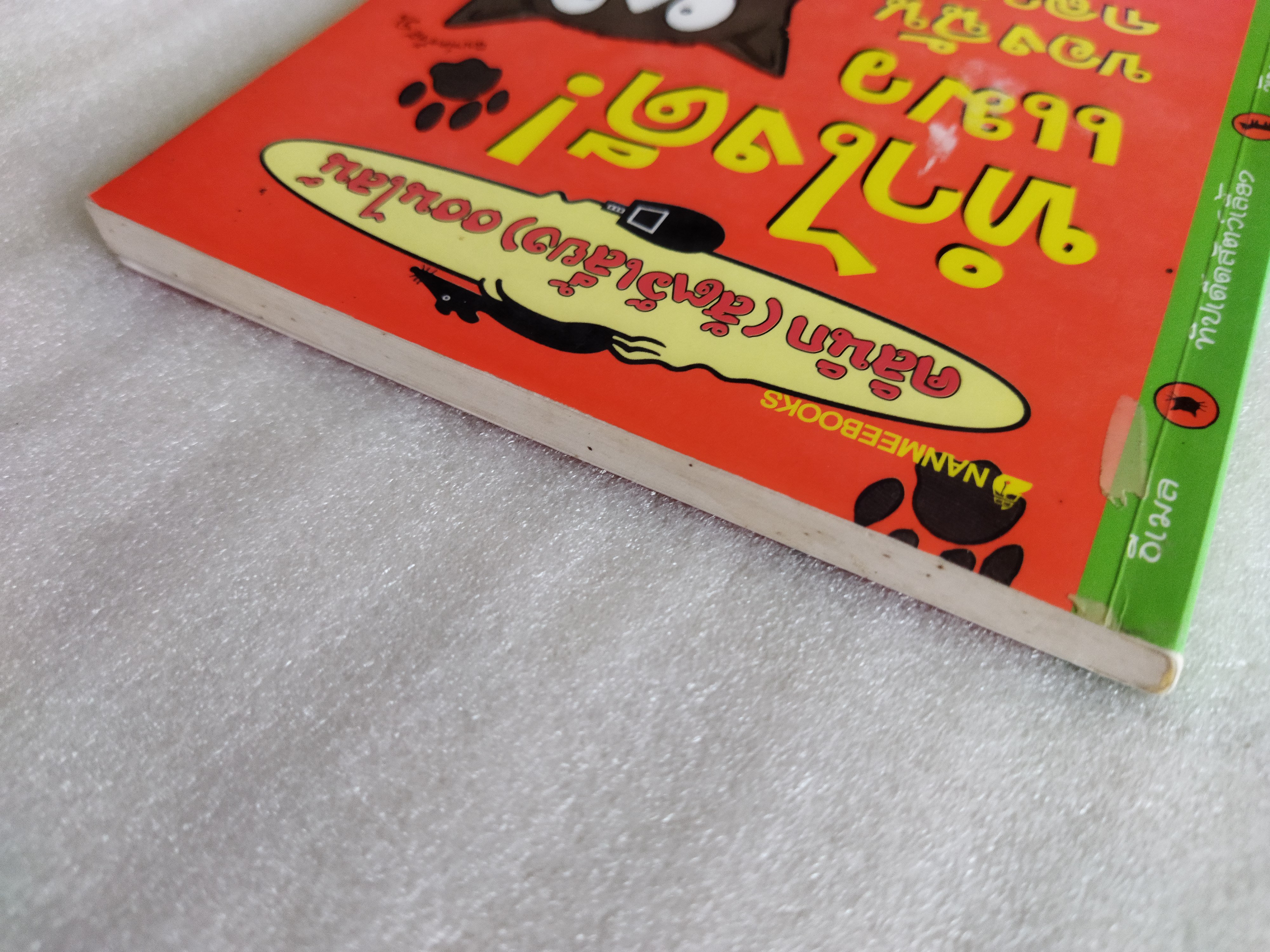 ทำไงดี! แมวของฉันกลายเป็นหมู