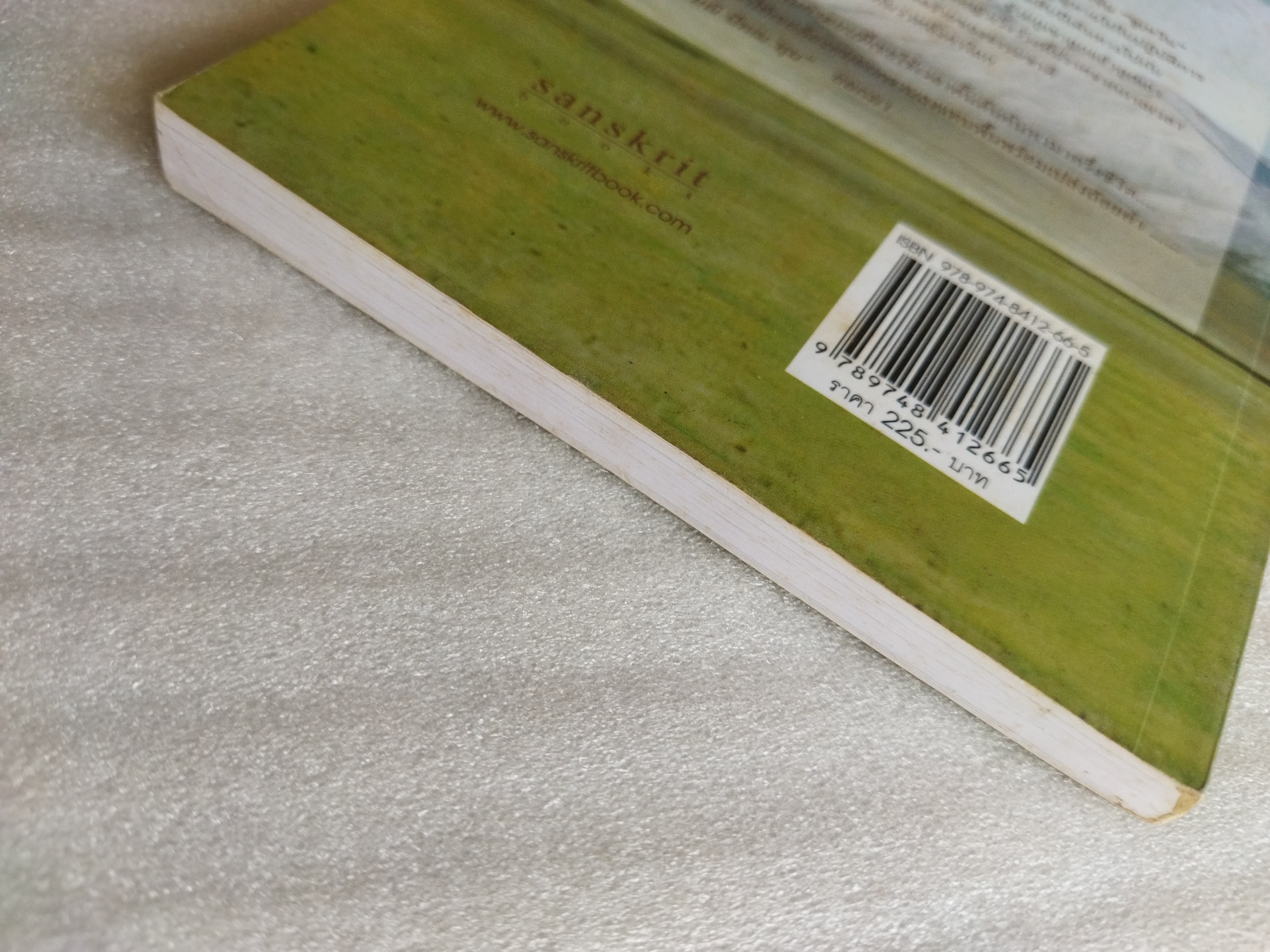 ฝังเธอที่ปลายฟ้า sky burial / ซินหรัน