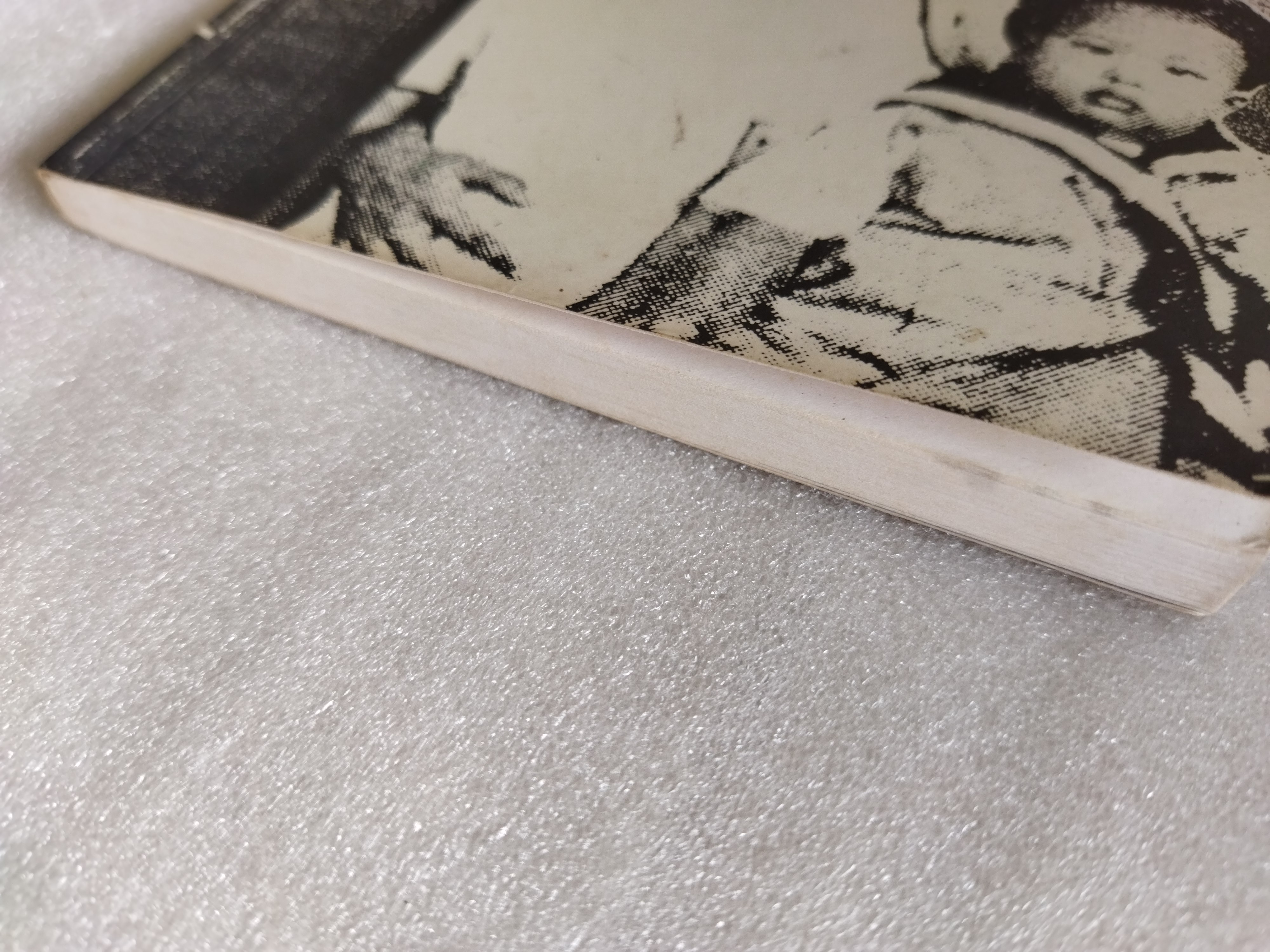 ถึงเจ้าวายร้ายตัวน้อย / วดีลดา เพียงศิริ