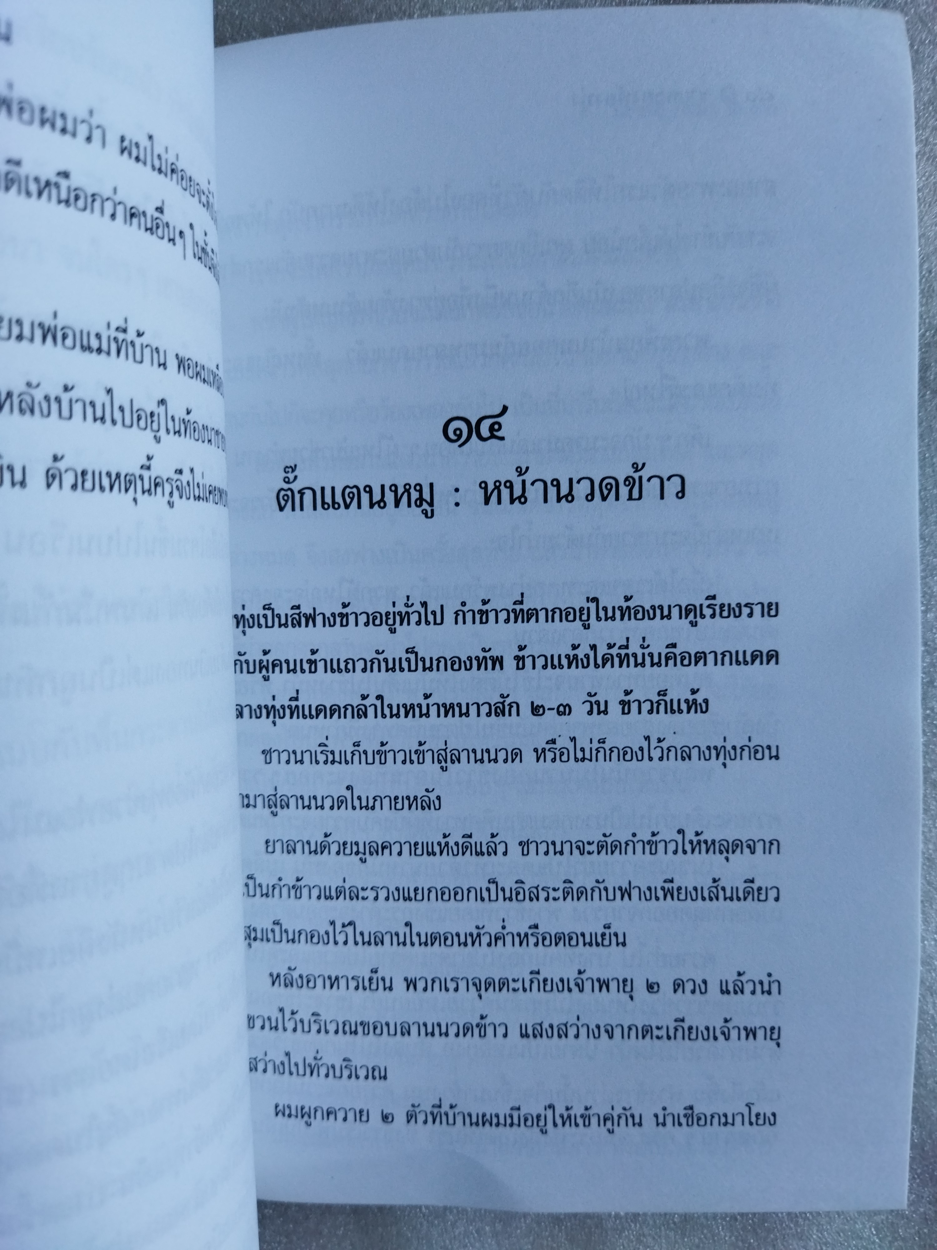 ชายคลองท้องทุ่ง / มะเดื่อ เสมา
