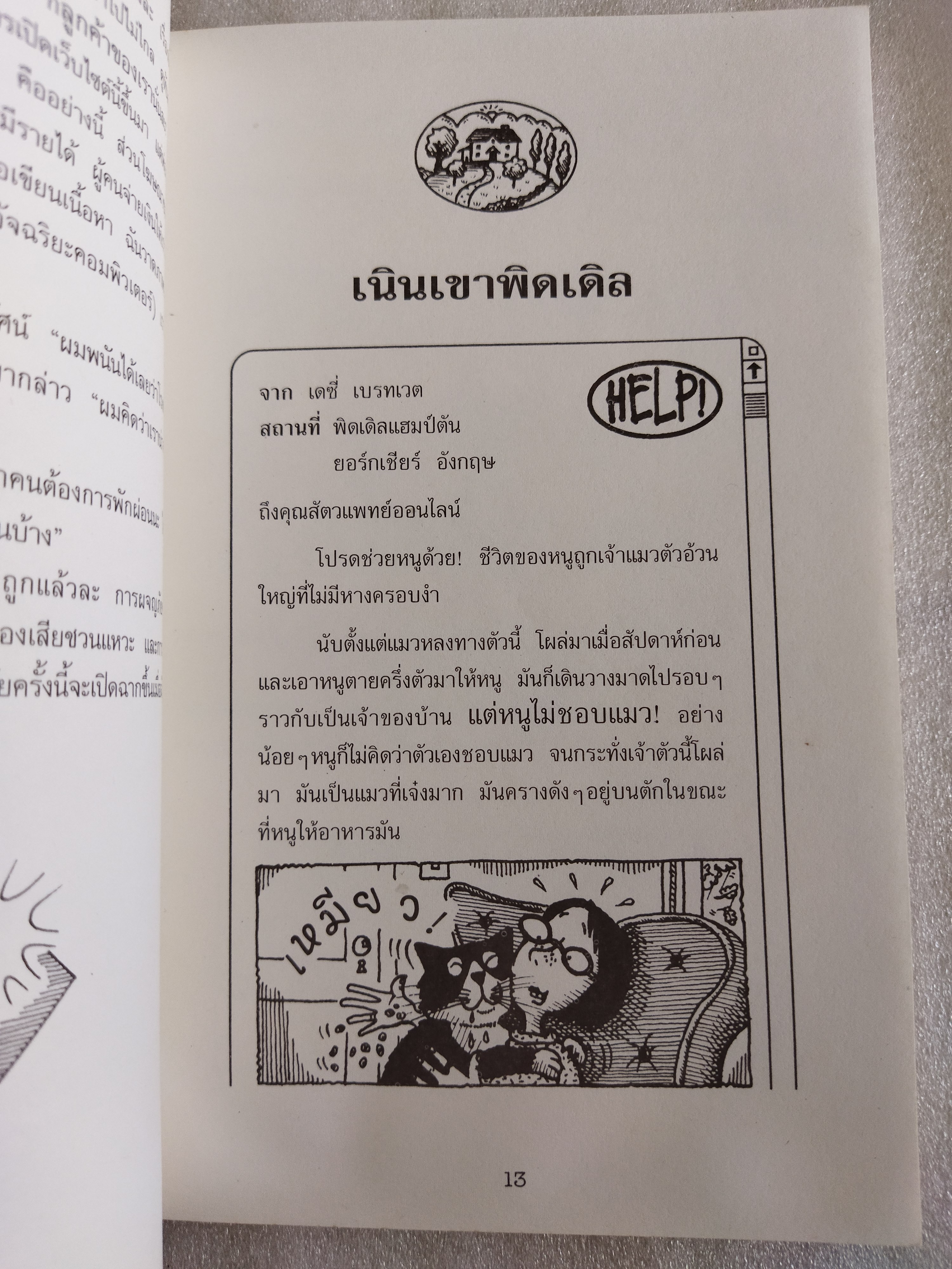 ทำไงดี! แมวของฉันกลายเป็นหมู