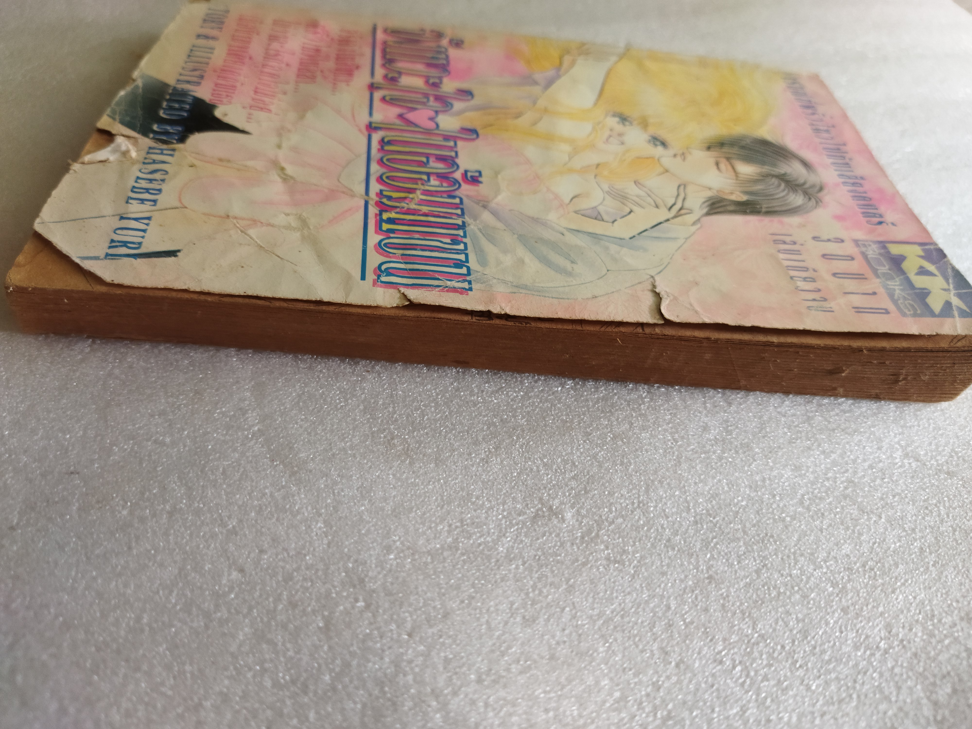 จังหวะใจในอ้อมแขน *ตำหนิ