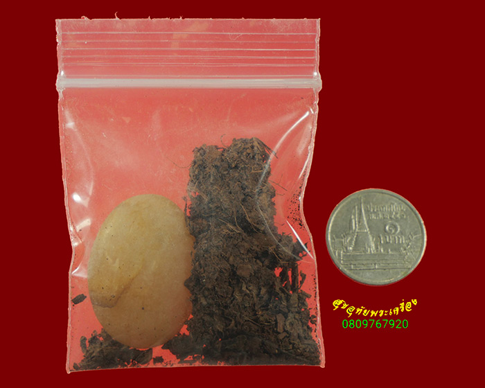 690.ปฐวีธาตุ ชานหมาก หลวงปู่คำพันธ์ โฆษปัญโญ วัดธาตุมหาชัย จ.นครพนม หายากครับ