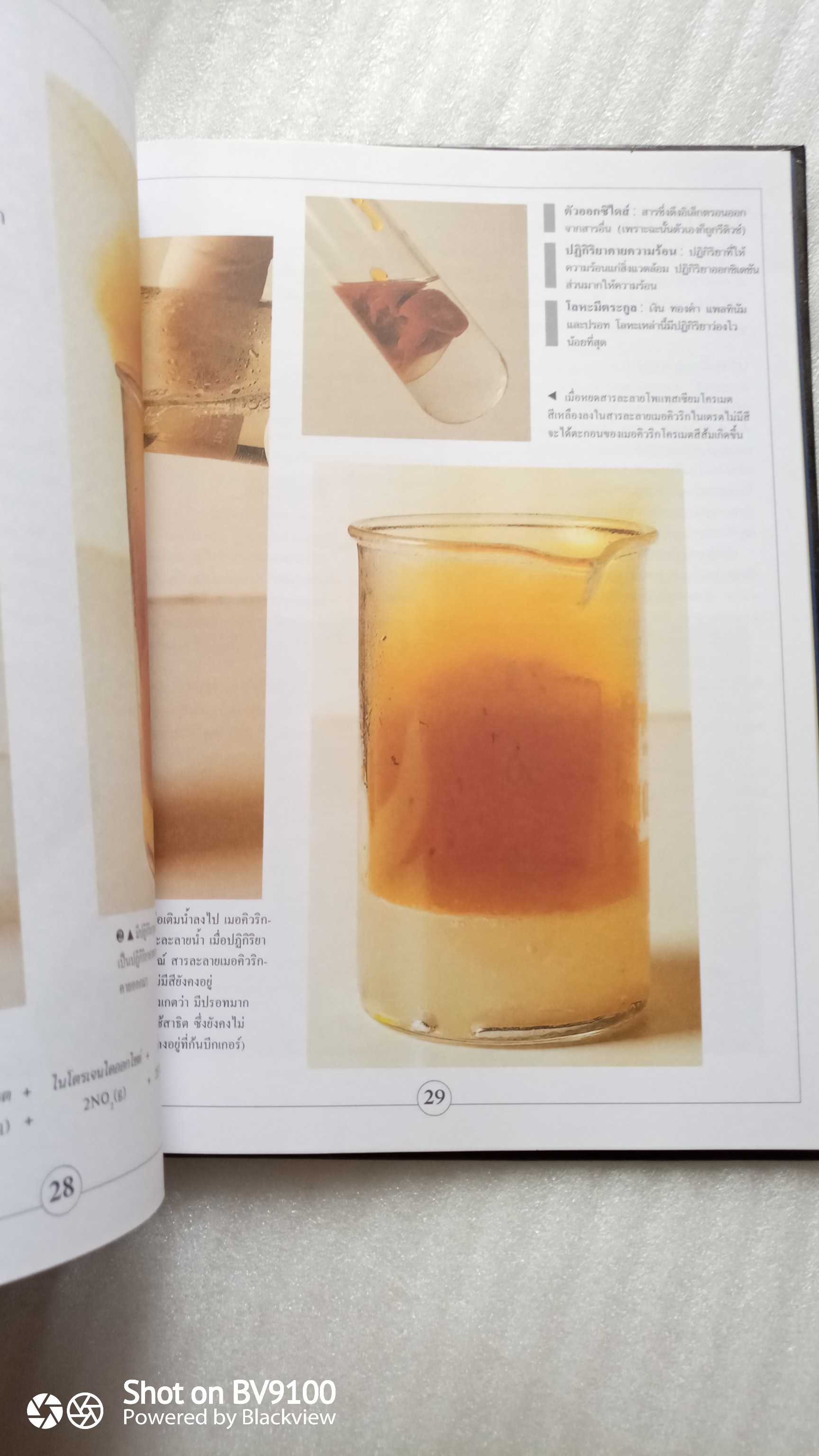 สังกะสี แคดเมียม และปรอท *ตำหนิ