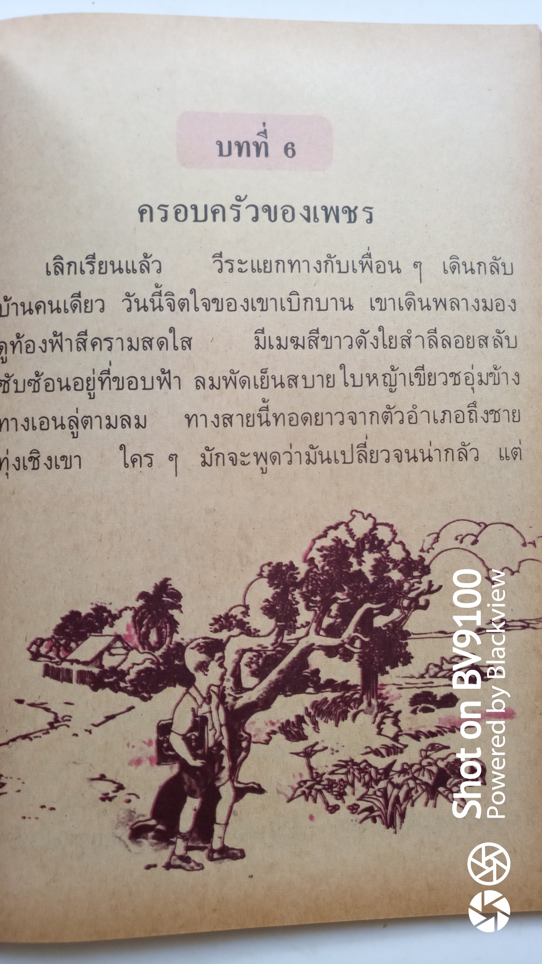 หนังสือเรียน ภาษาไทย ป3 เล่ม1