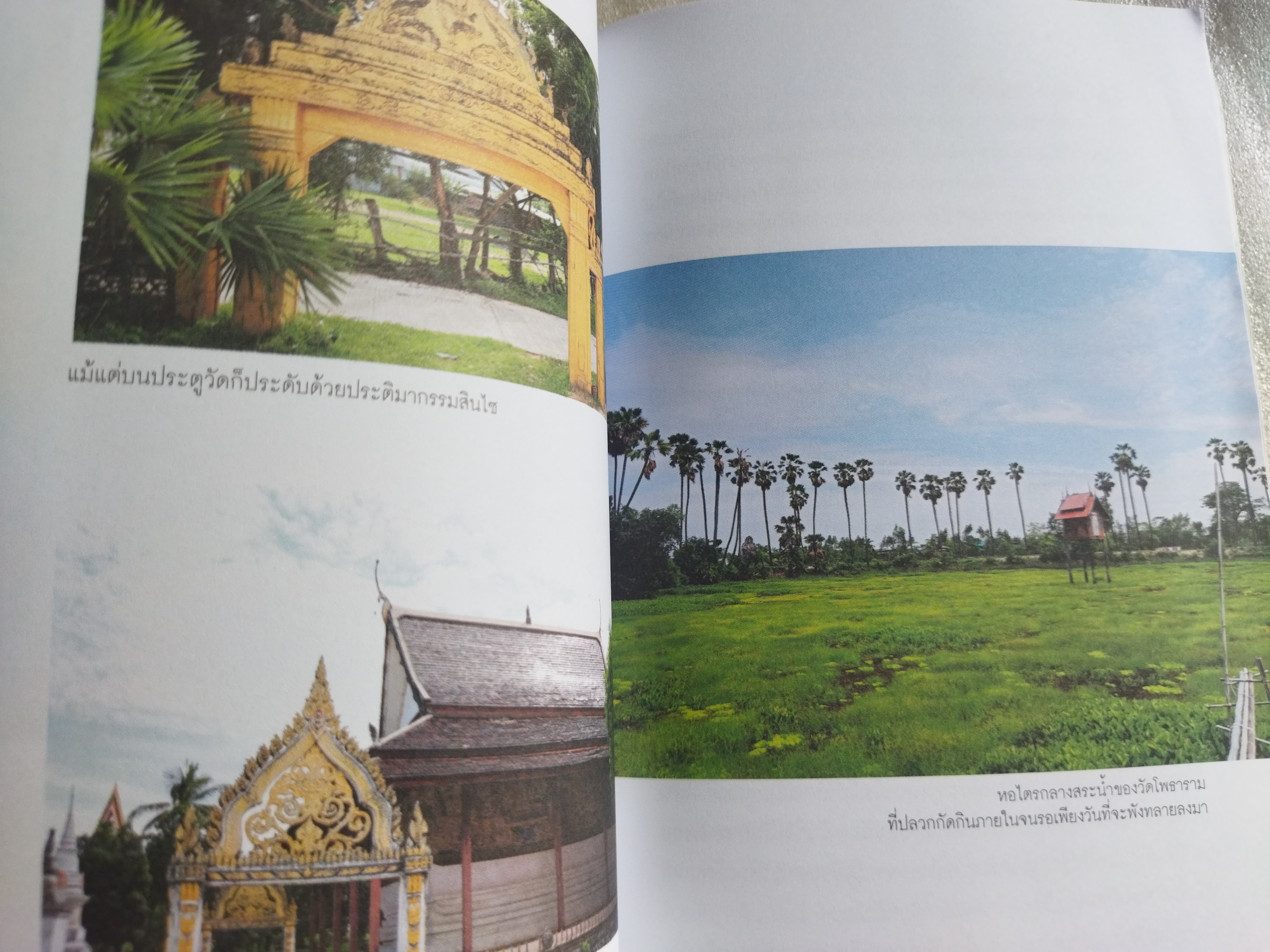 สะกดรอยสินไซ / นัทธ์หทัย วนาเฉลิม