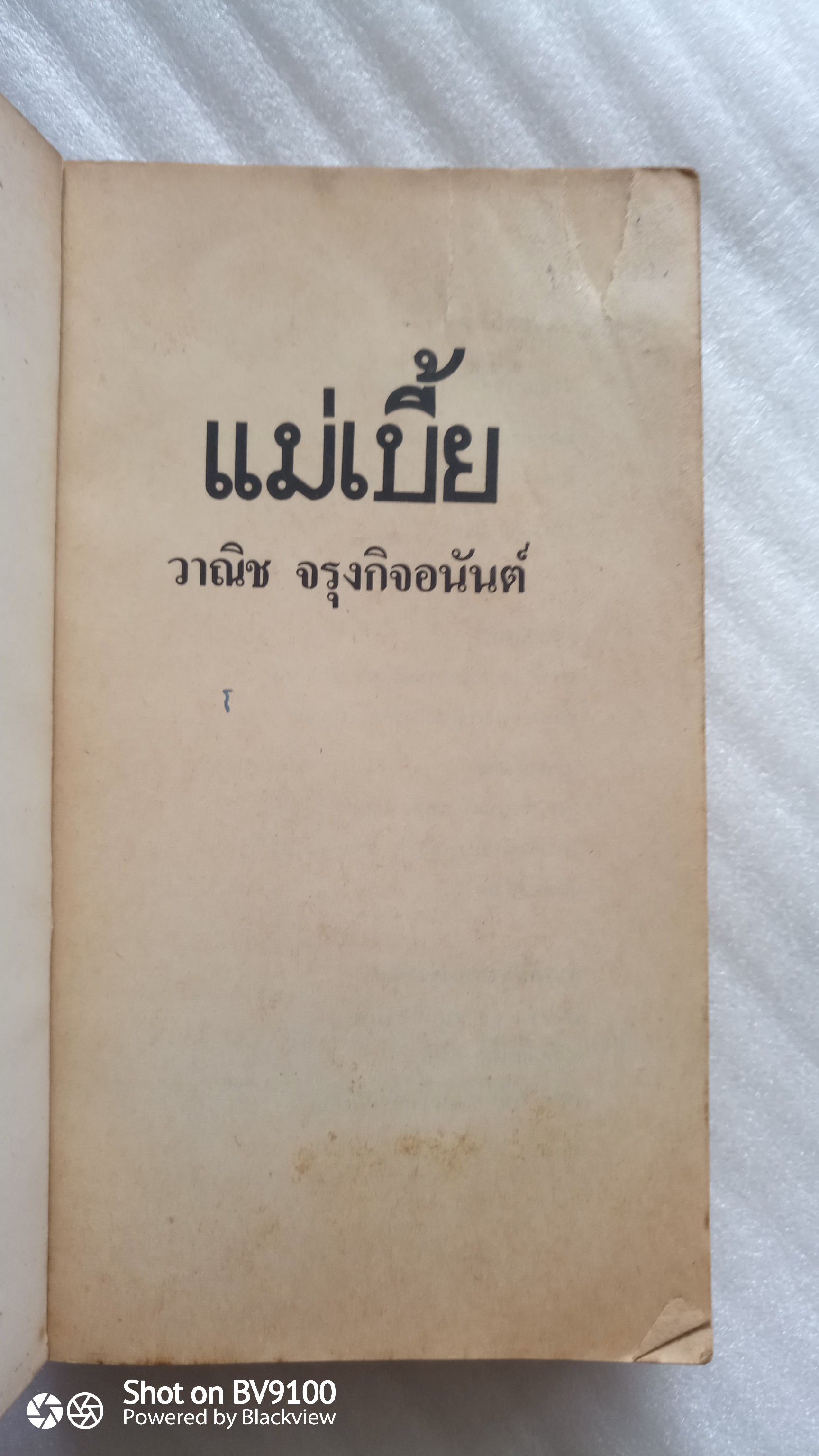 แม่เบี้ย / วานิช จรุงกิจอนันต์