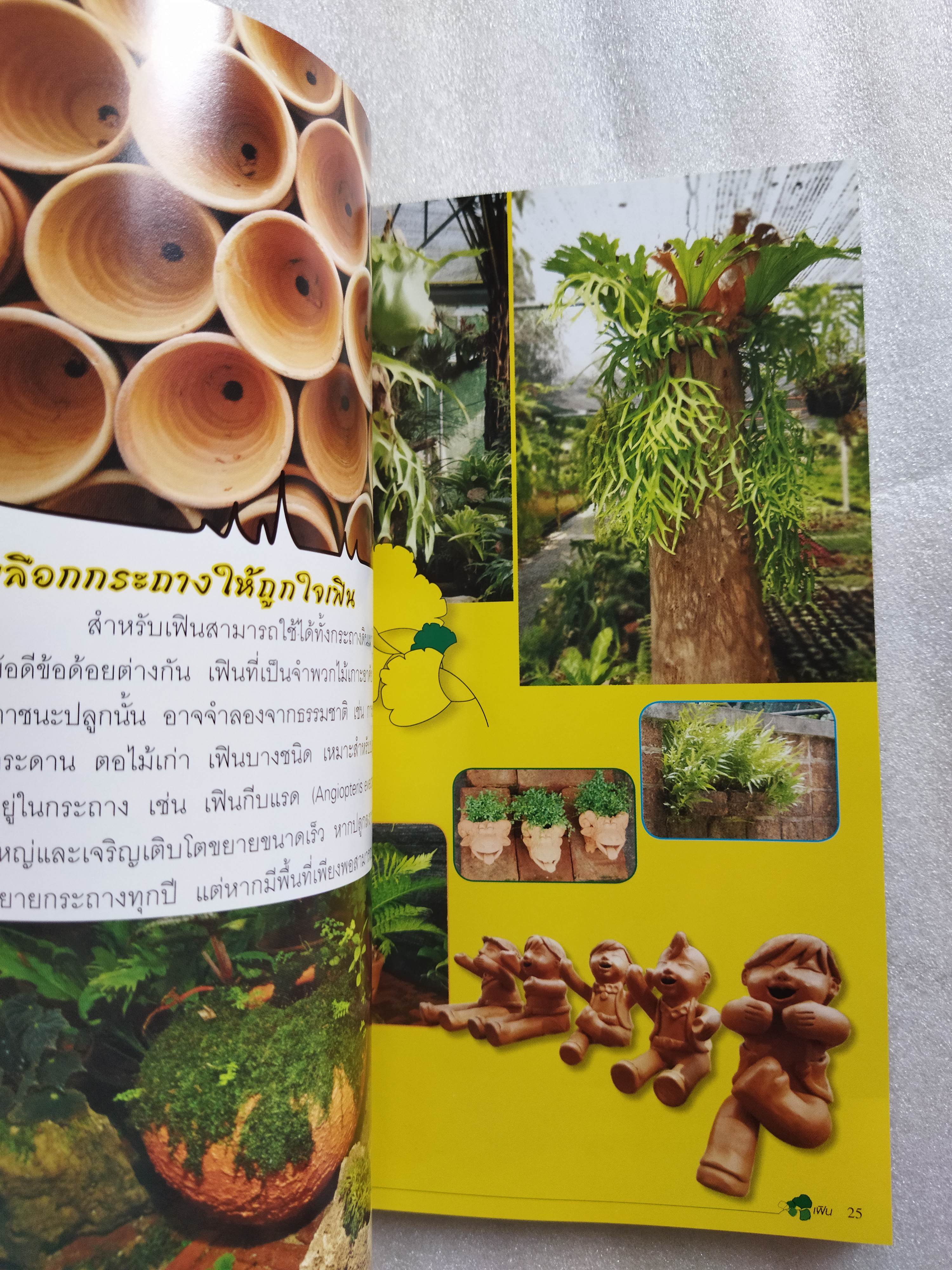 ร้อยพรรณพฤกษา เฟิน