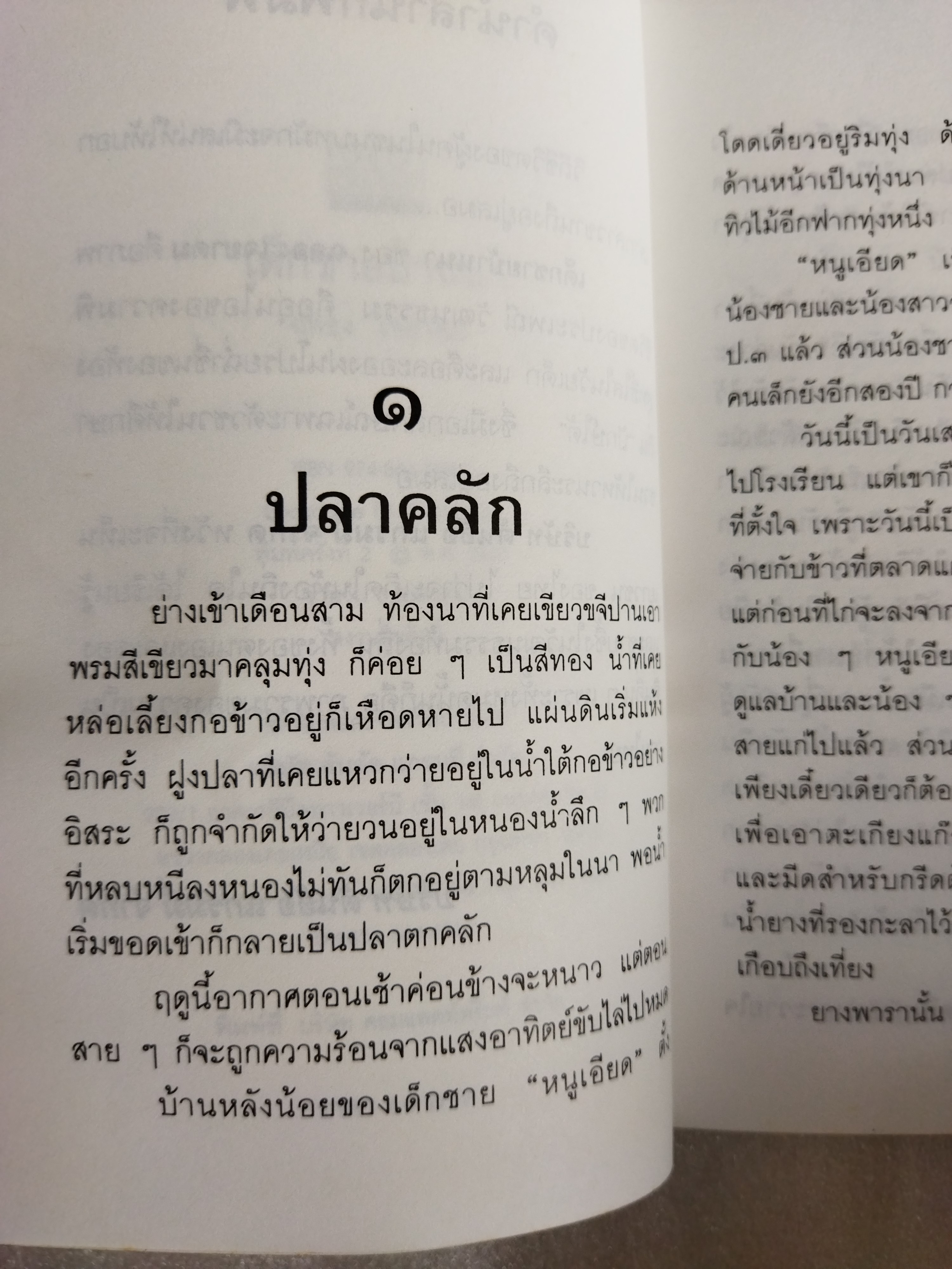 เด็กชายบ้านนา / ฉลอง เจยาคม