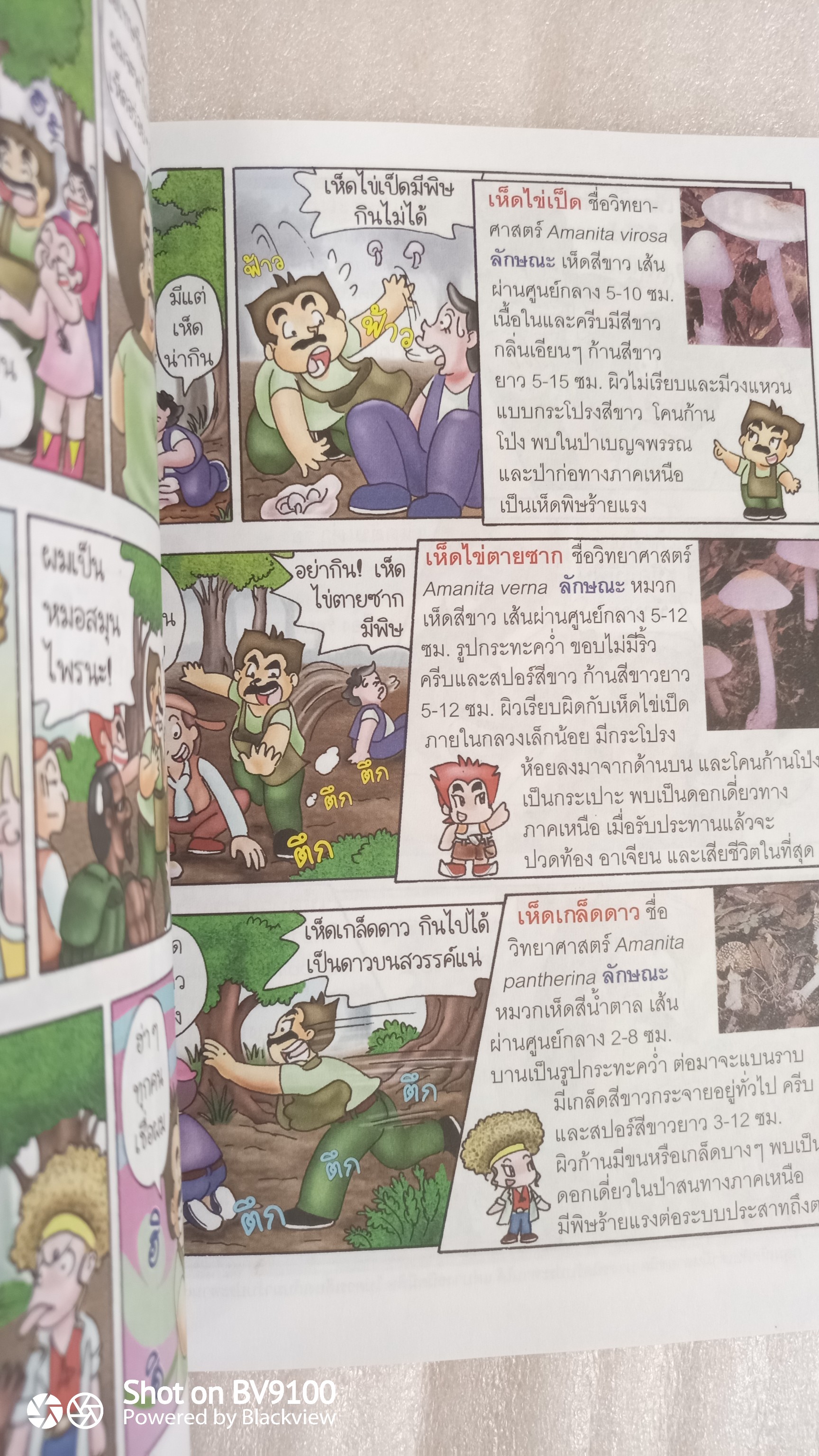 ผจญภัยในป่าลึก ตะลุยป่าสมุนไพร