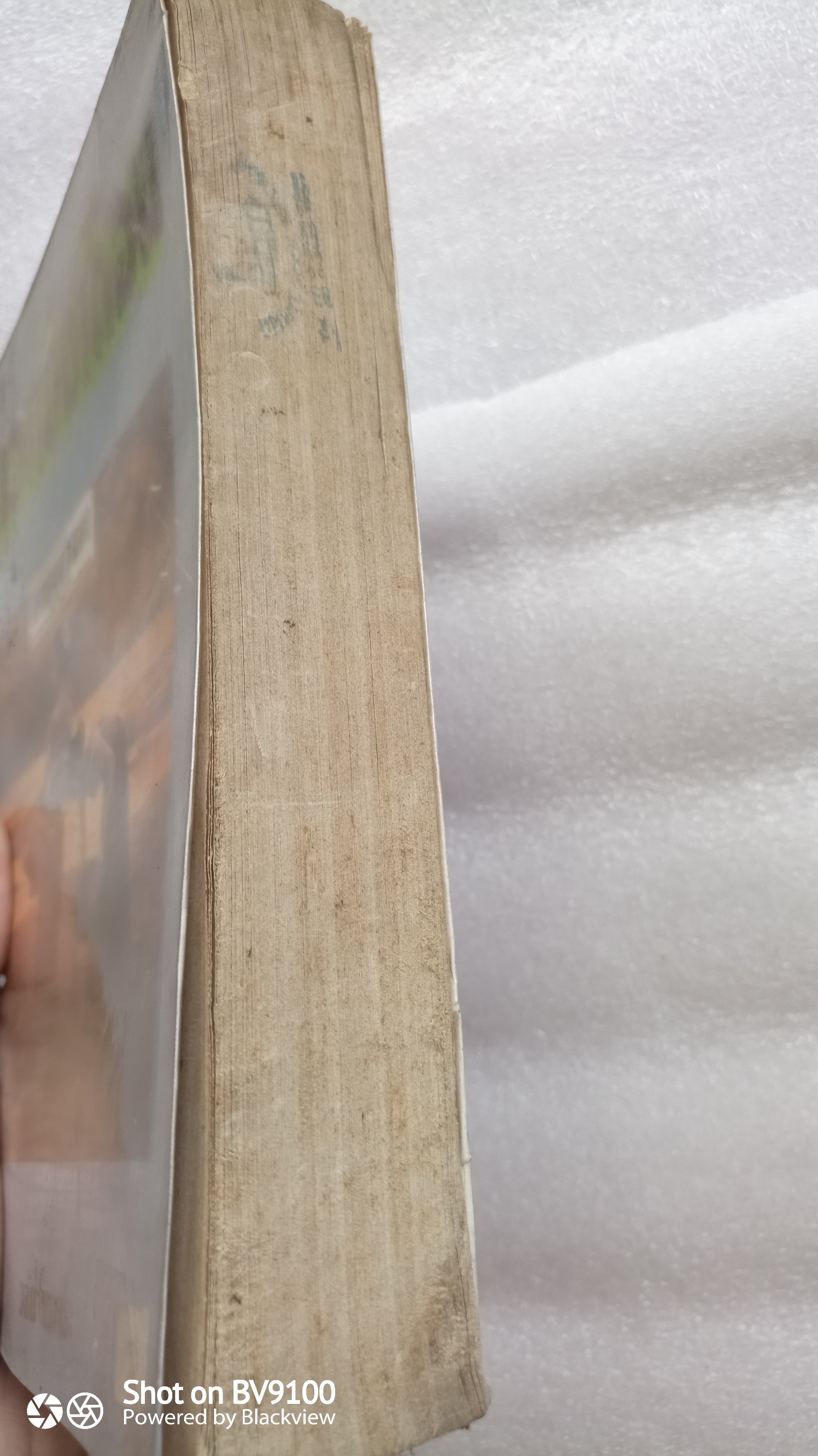 ดาวแข่งเดือน / วลัย นวาระ