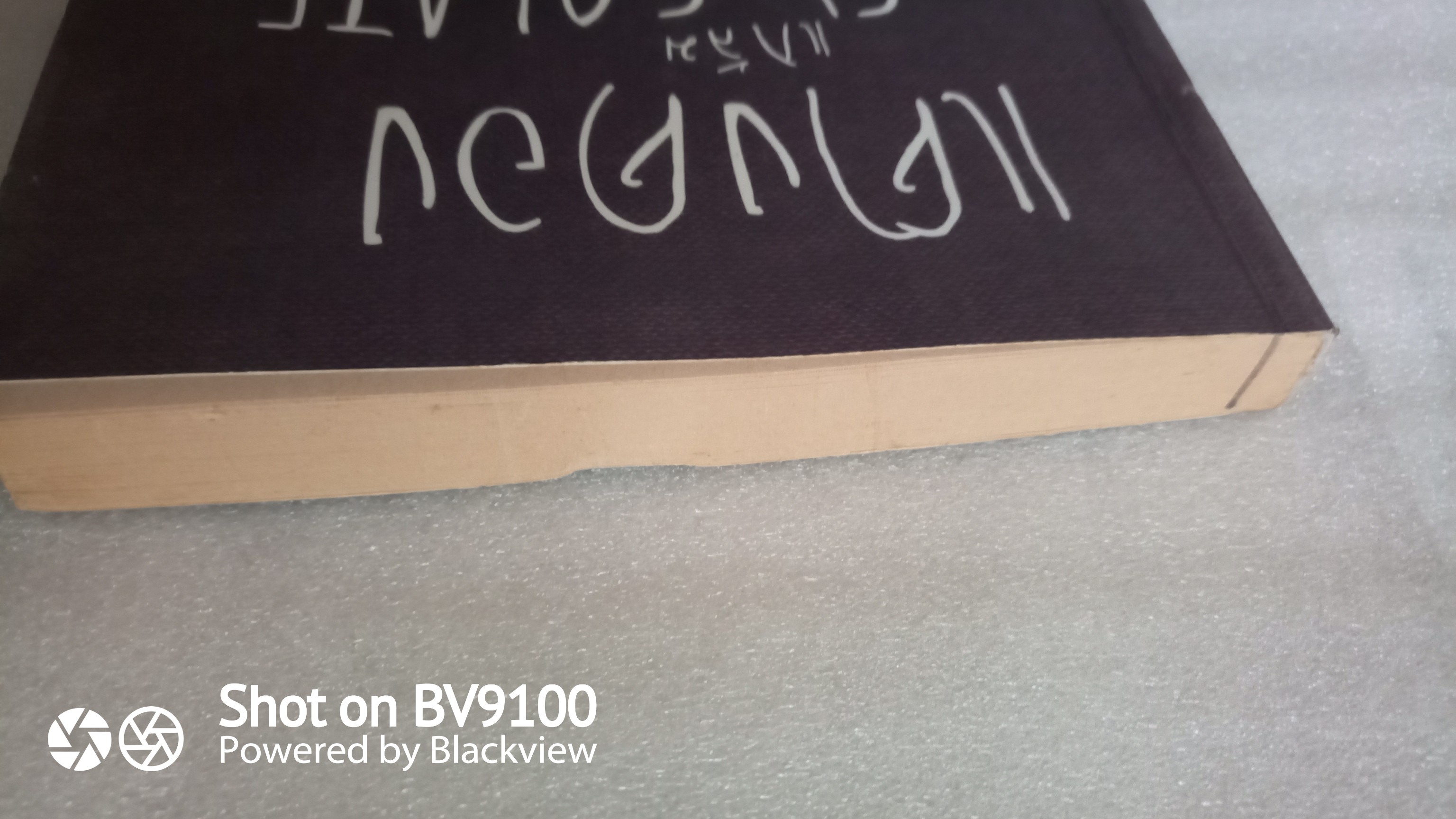 แตงดองแกล้ม Chocolate / สเตฟานี