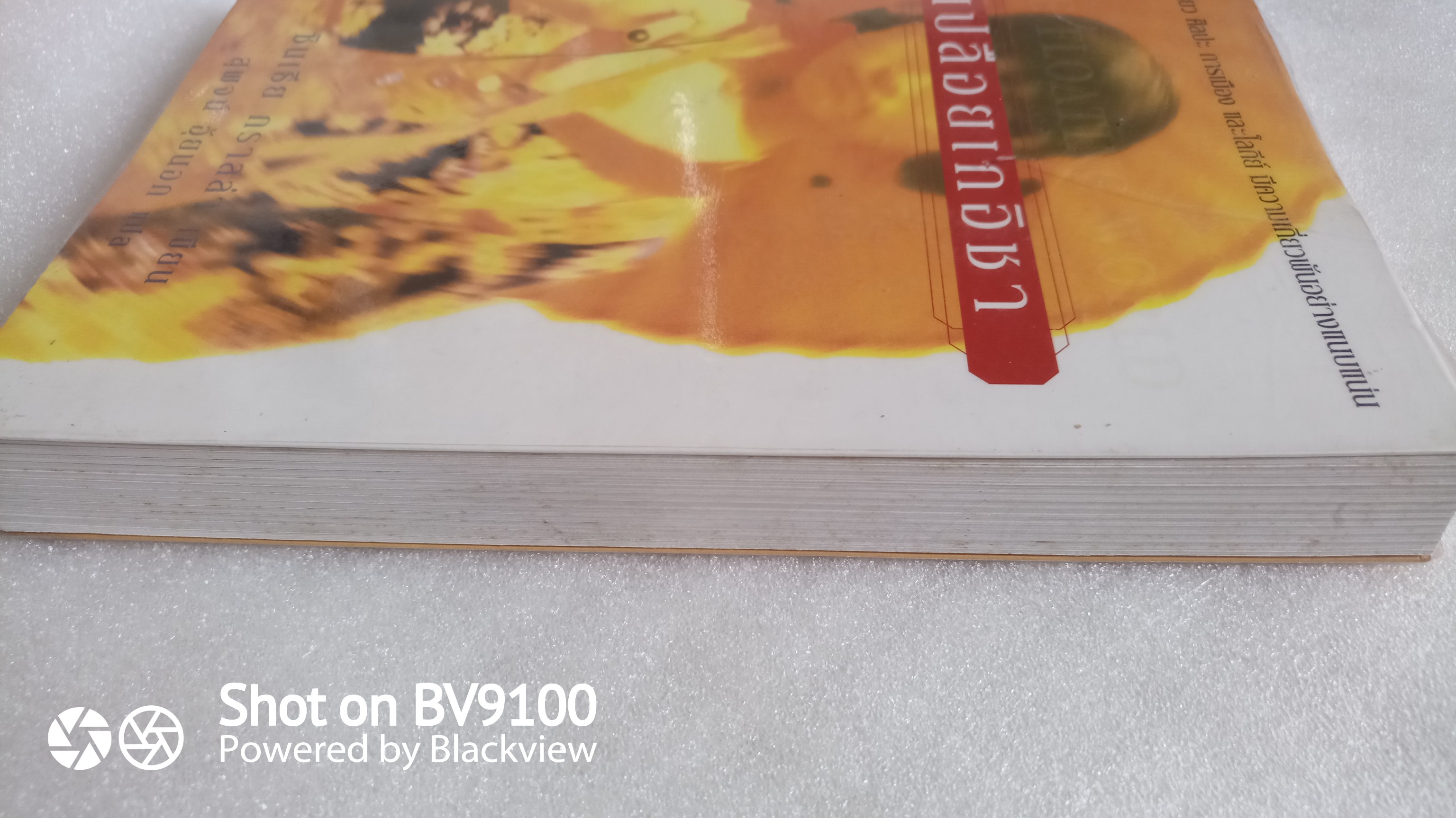 เปลือยเกอิชา / ซินเธีย กราลล่า