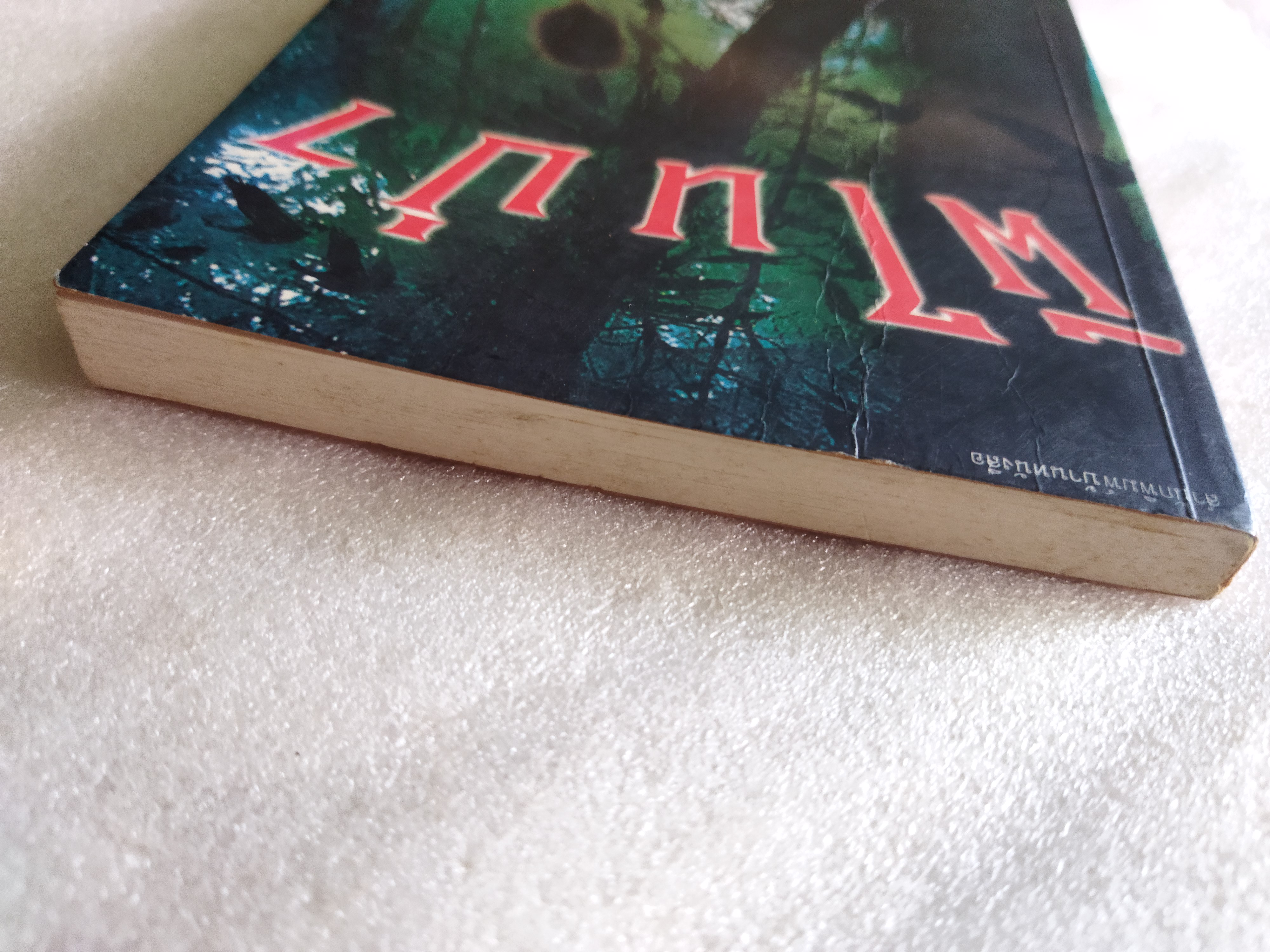 ผีในป่า / วัธนา บุญยัง