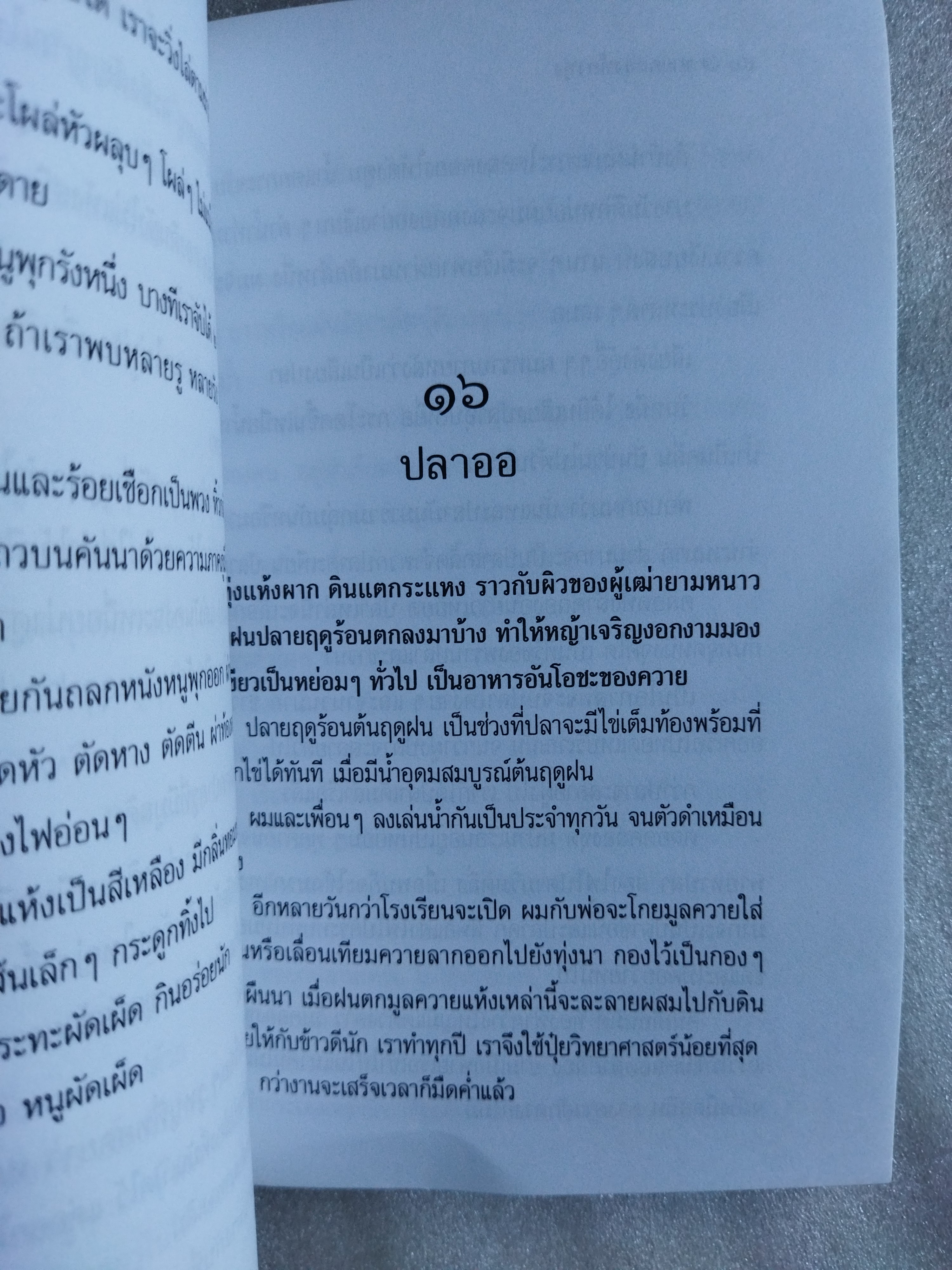 ชายคลองท้องทุ่ง / มะเดื่อ เสมา