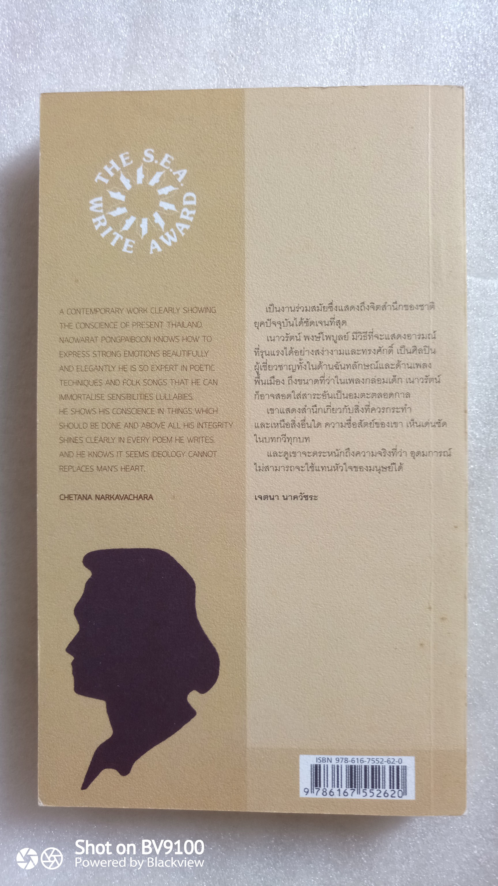 เพียงความเคลื่อนไหว / เนาวรัตน์ พงษ์ไพบูลย์