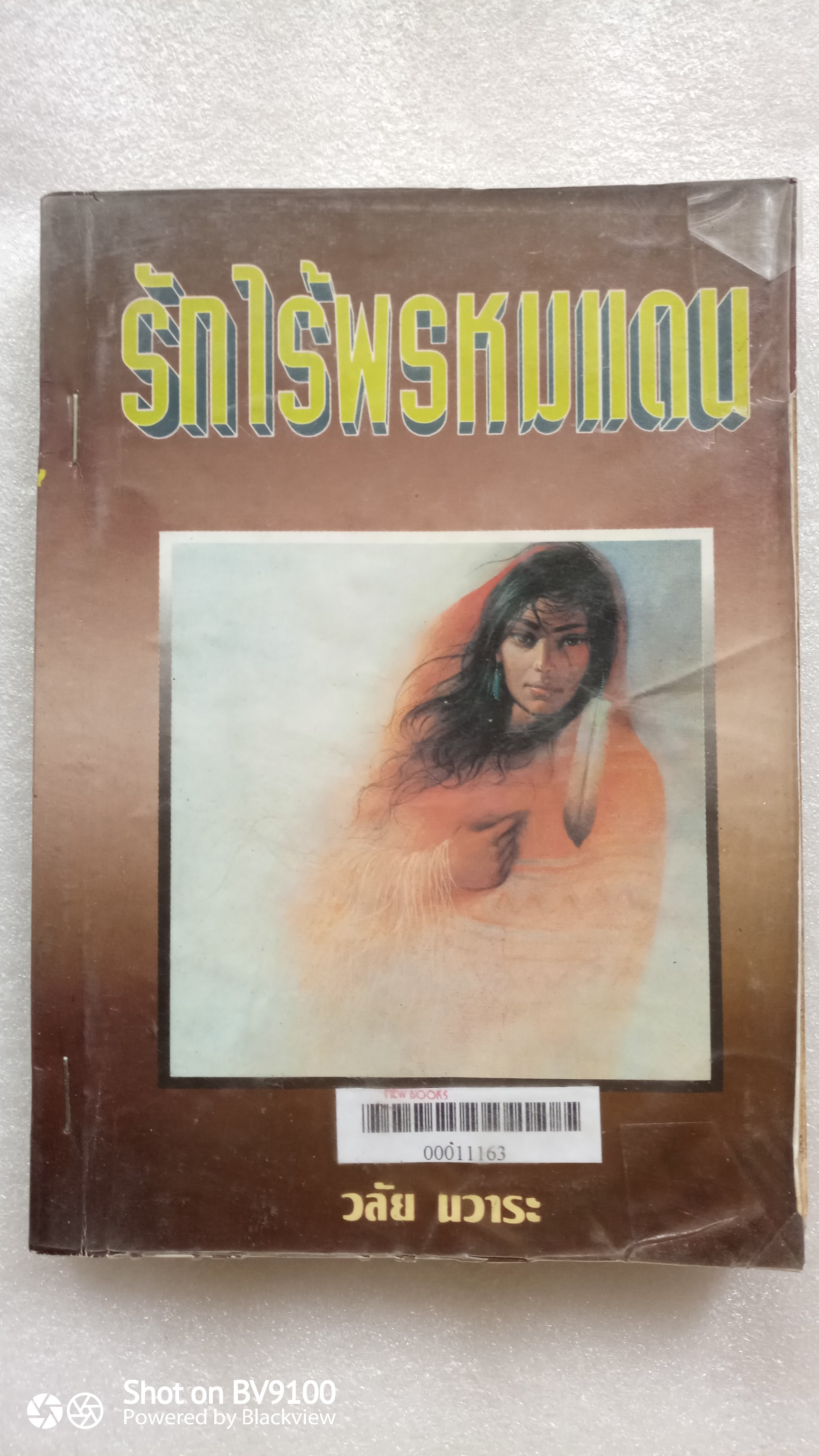 รักไร้พรมแดน / วลัย นวาระ