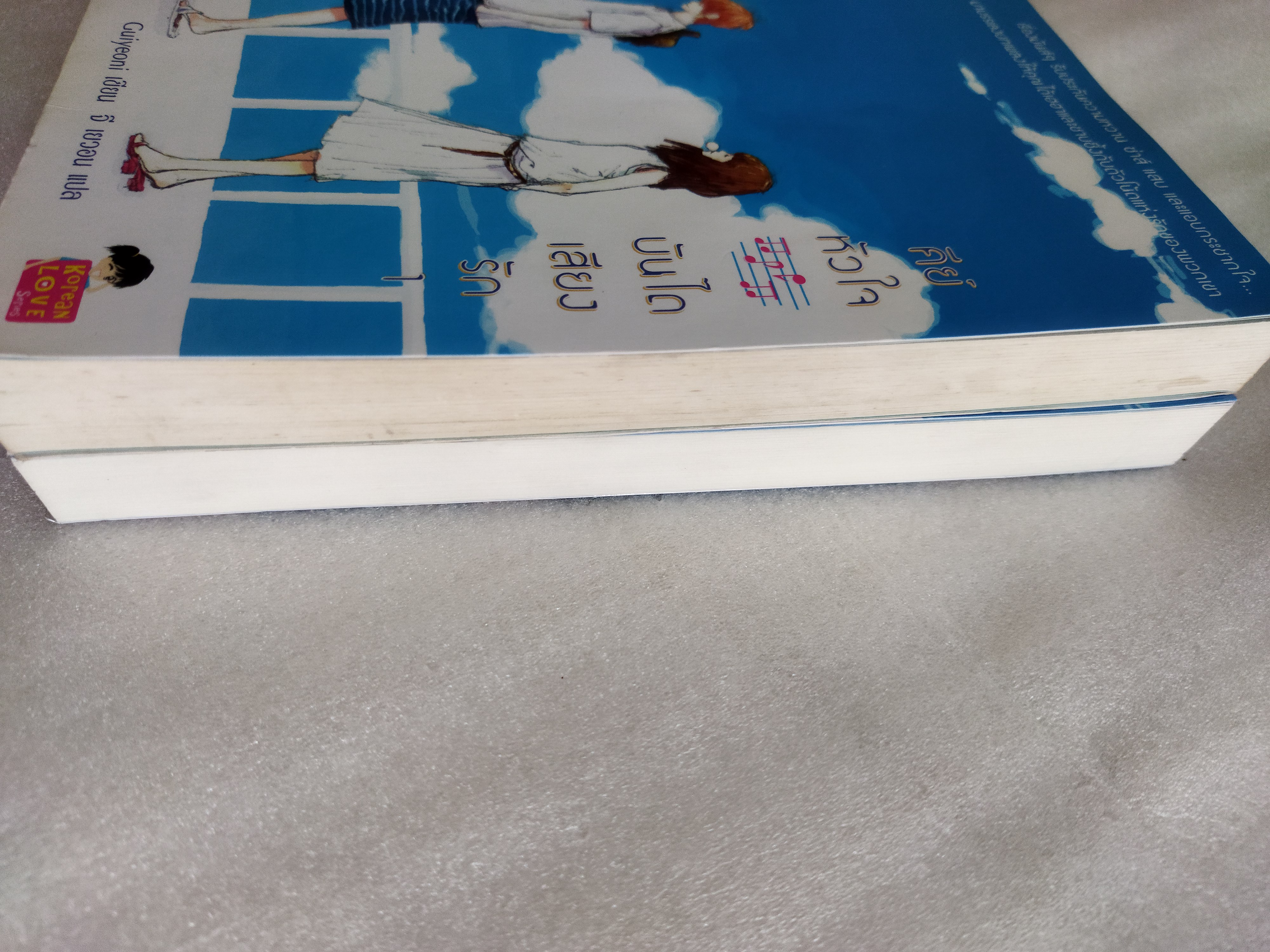 คีย์หัวใจบันไดเสียงรัก 2 เล่มจบ