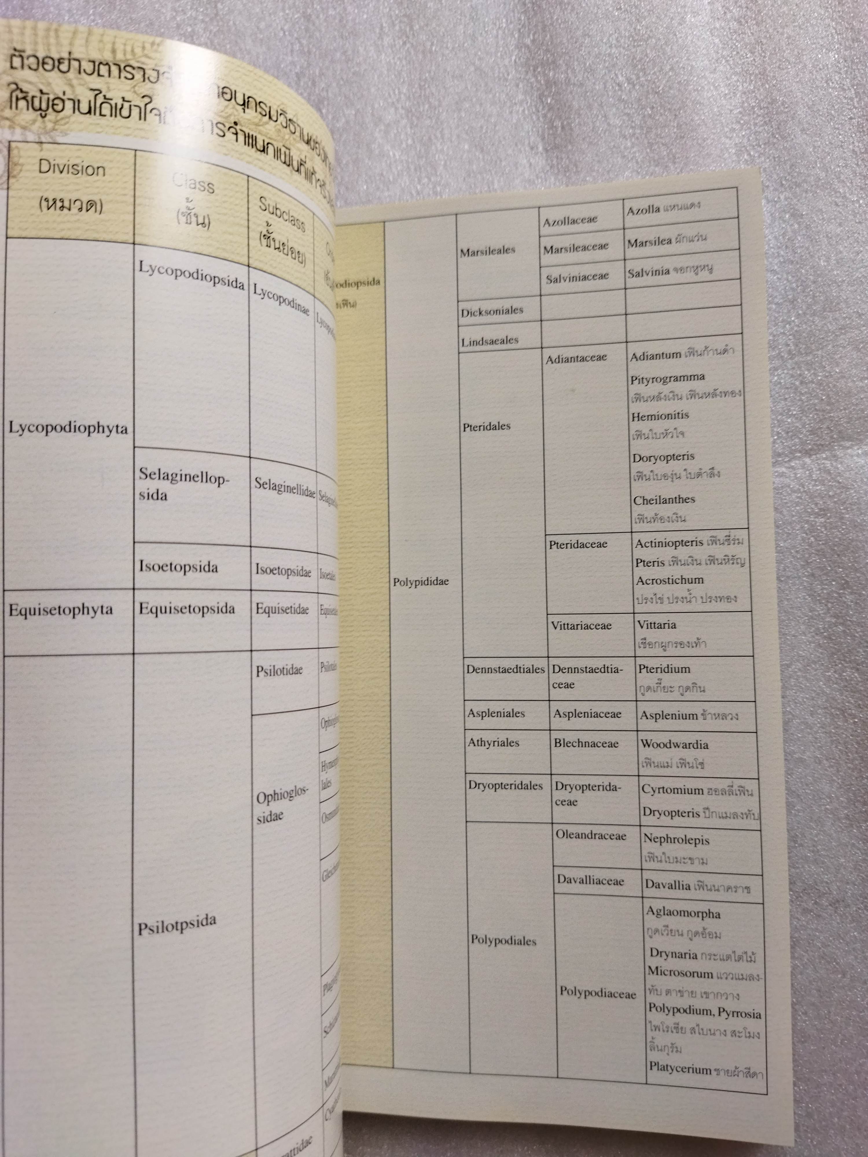 ร้อยพรรณพฤกษา เฟิน