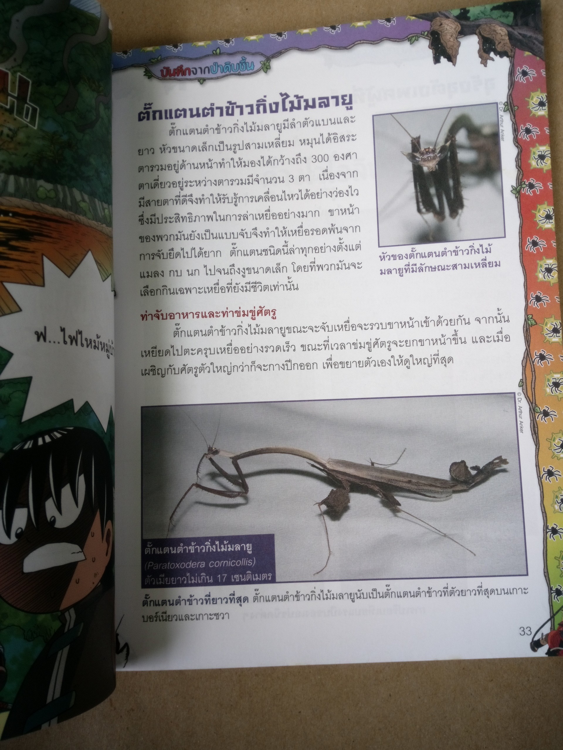 เอาชีวิตรอดตะลุยป่ามหาภัย เล่ม 10 ปิดฉากมหาภัย