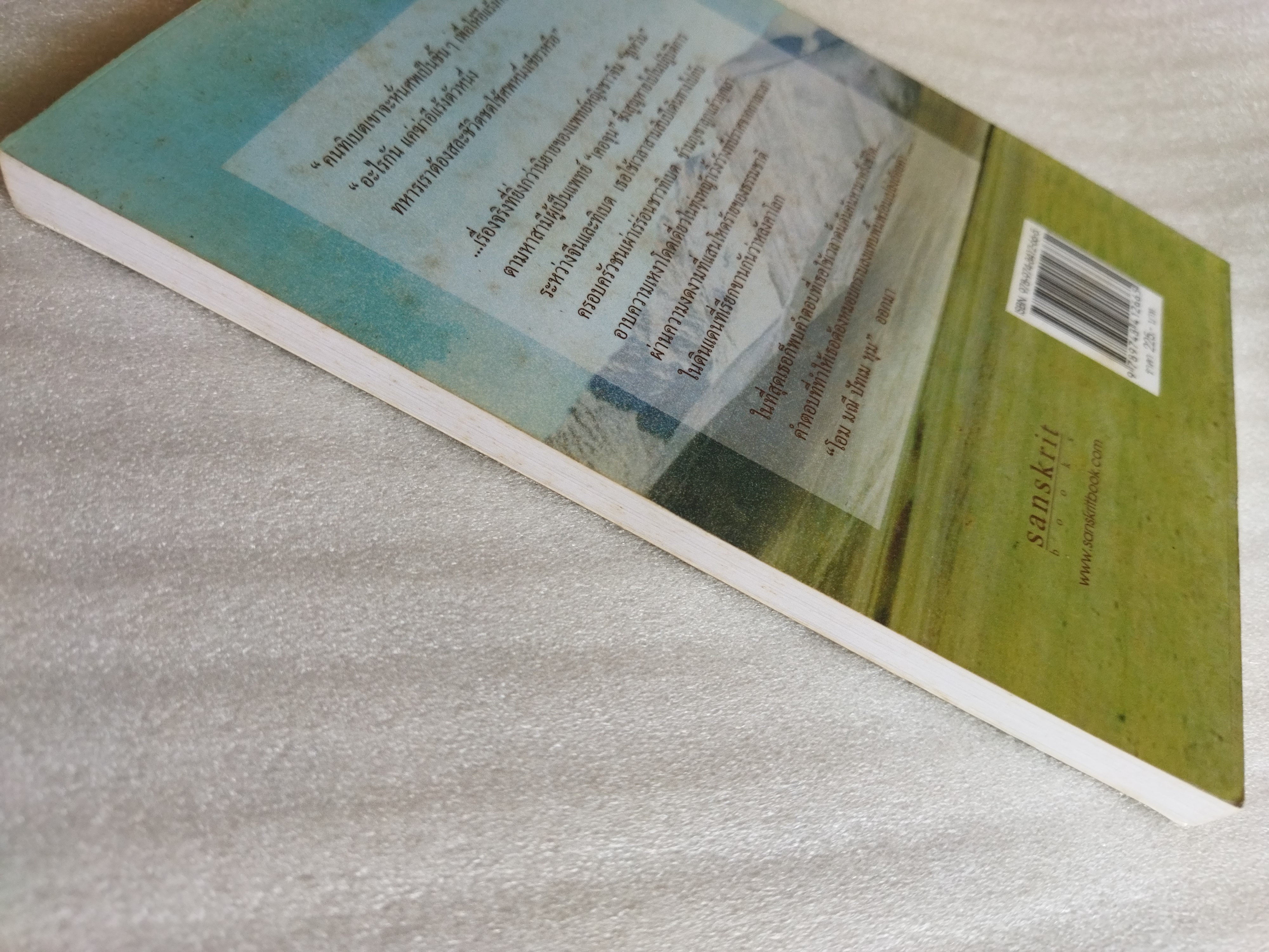 ฝังเธอที่ปลายฟ้า sky burial / ซินหรัน