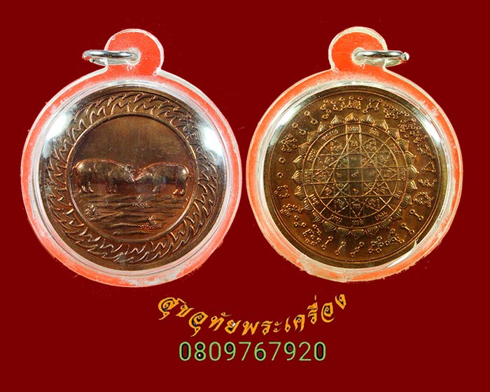557.เหรียญนักษัตร ปีกุน หลังพลังจักรวาล รุ่นสองแผ่นดิน ปลุกเสกยิ่งใหญ่ สวยกริ๊บพร้อมเลี่ยมครับ