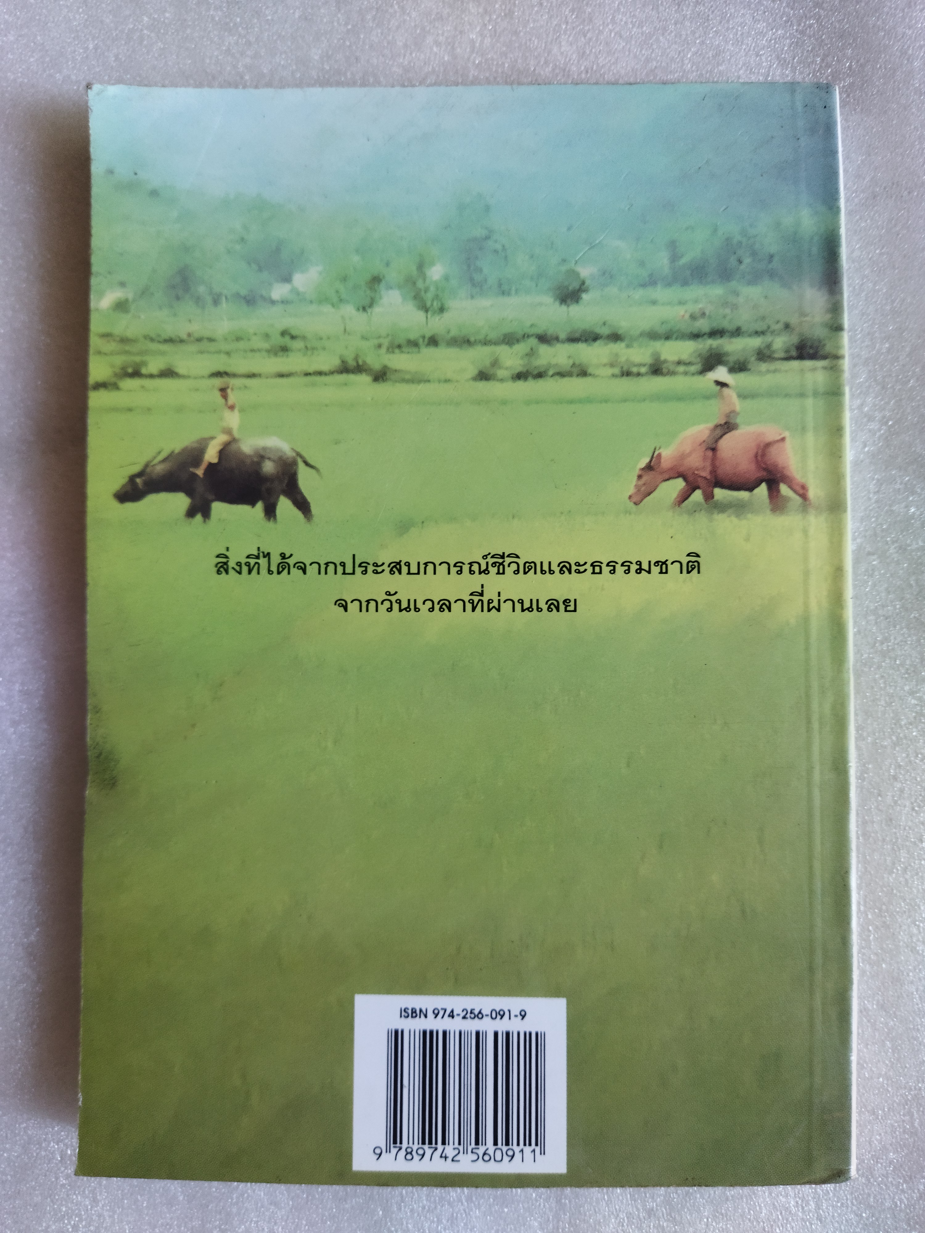 ชายคลองท้องทุ่ง / มะเดื่อ เสมา