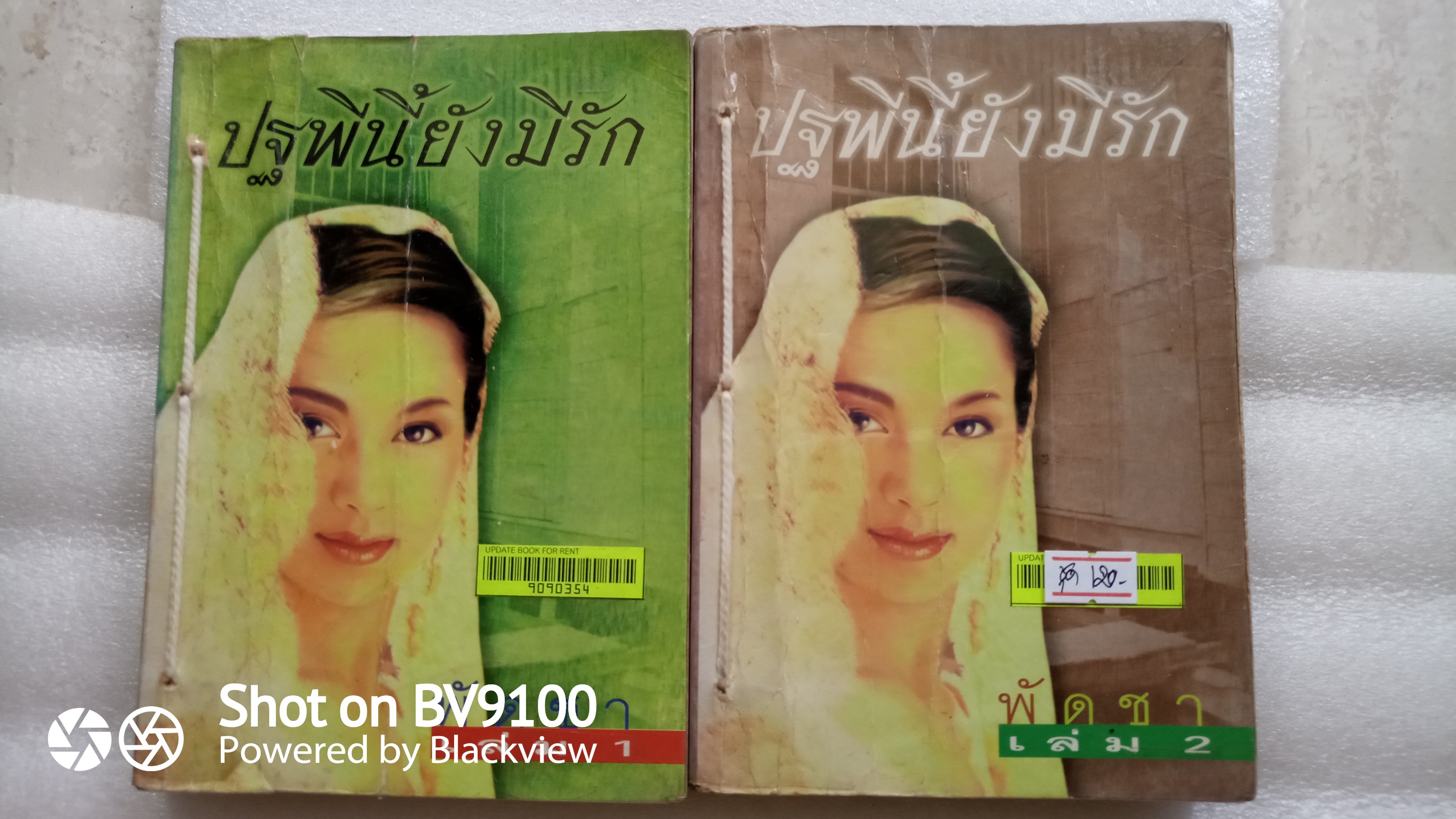 ปฐพีนี้ยังมีรัก 2 เล่มจบ / พัดชา
