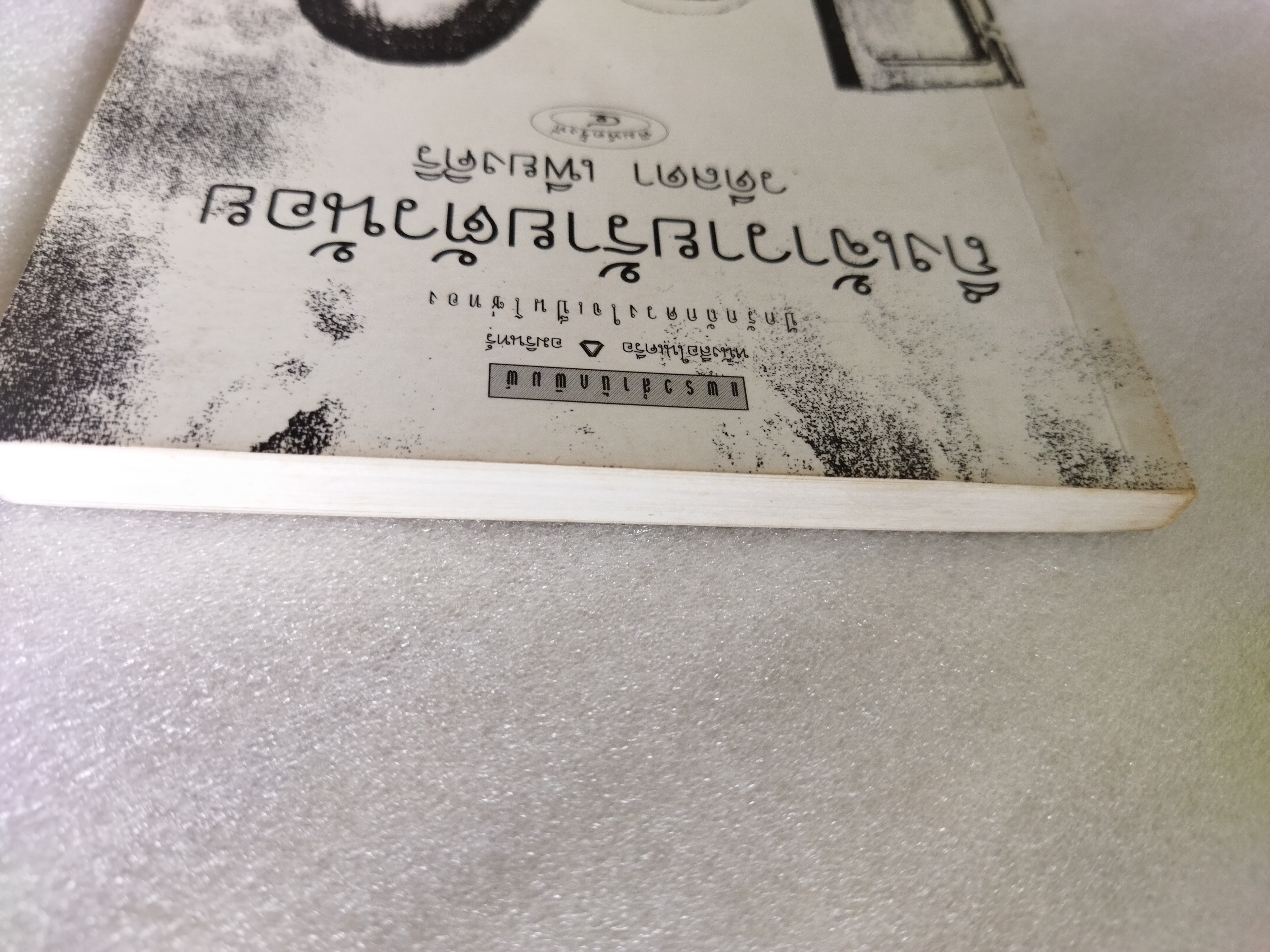 ถึงเจ้าวายร้ายตัวน้อย / วดีลดา เพียงศิริ