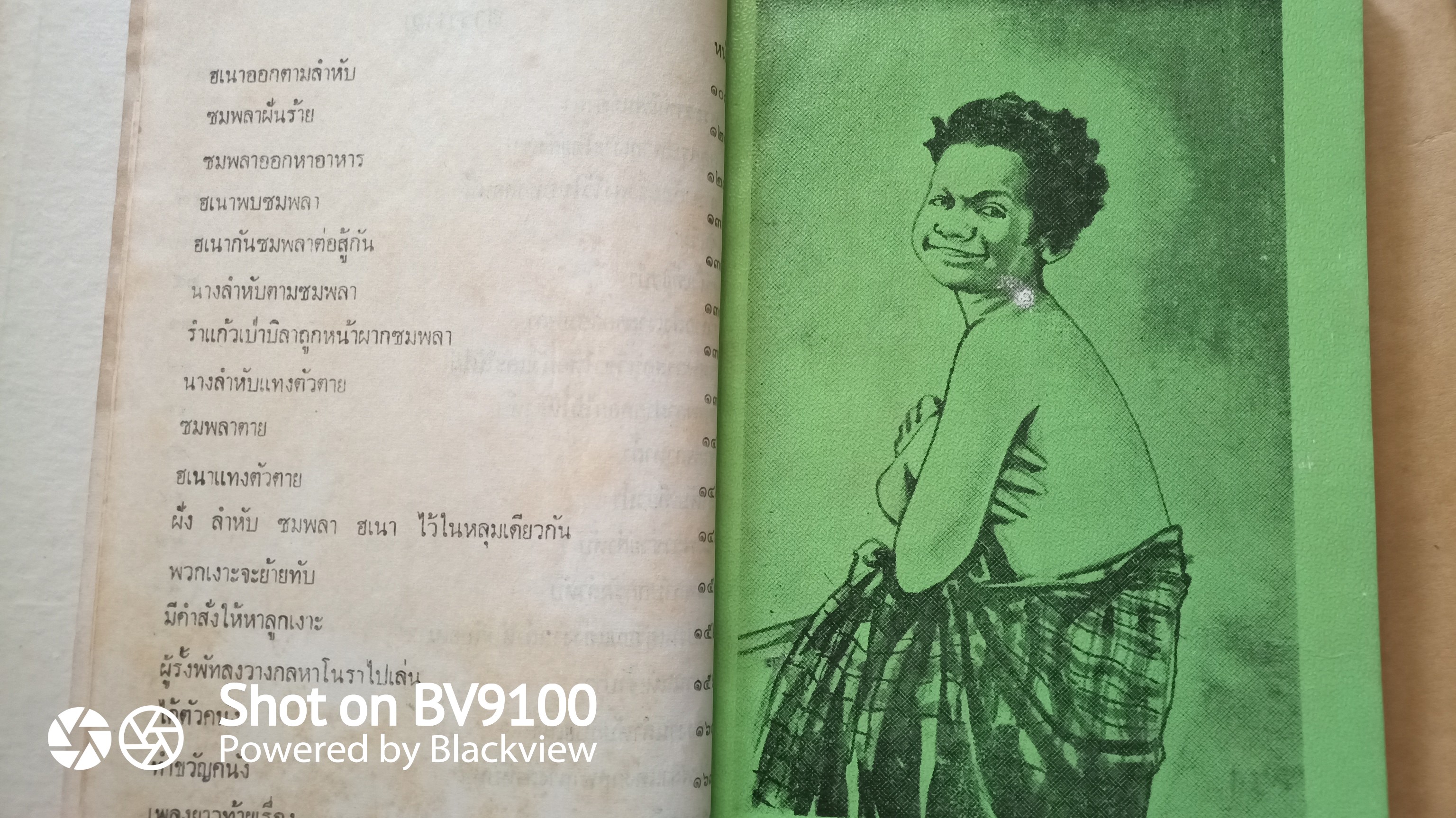 เงาะป่า