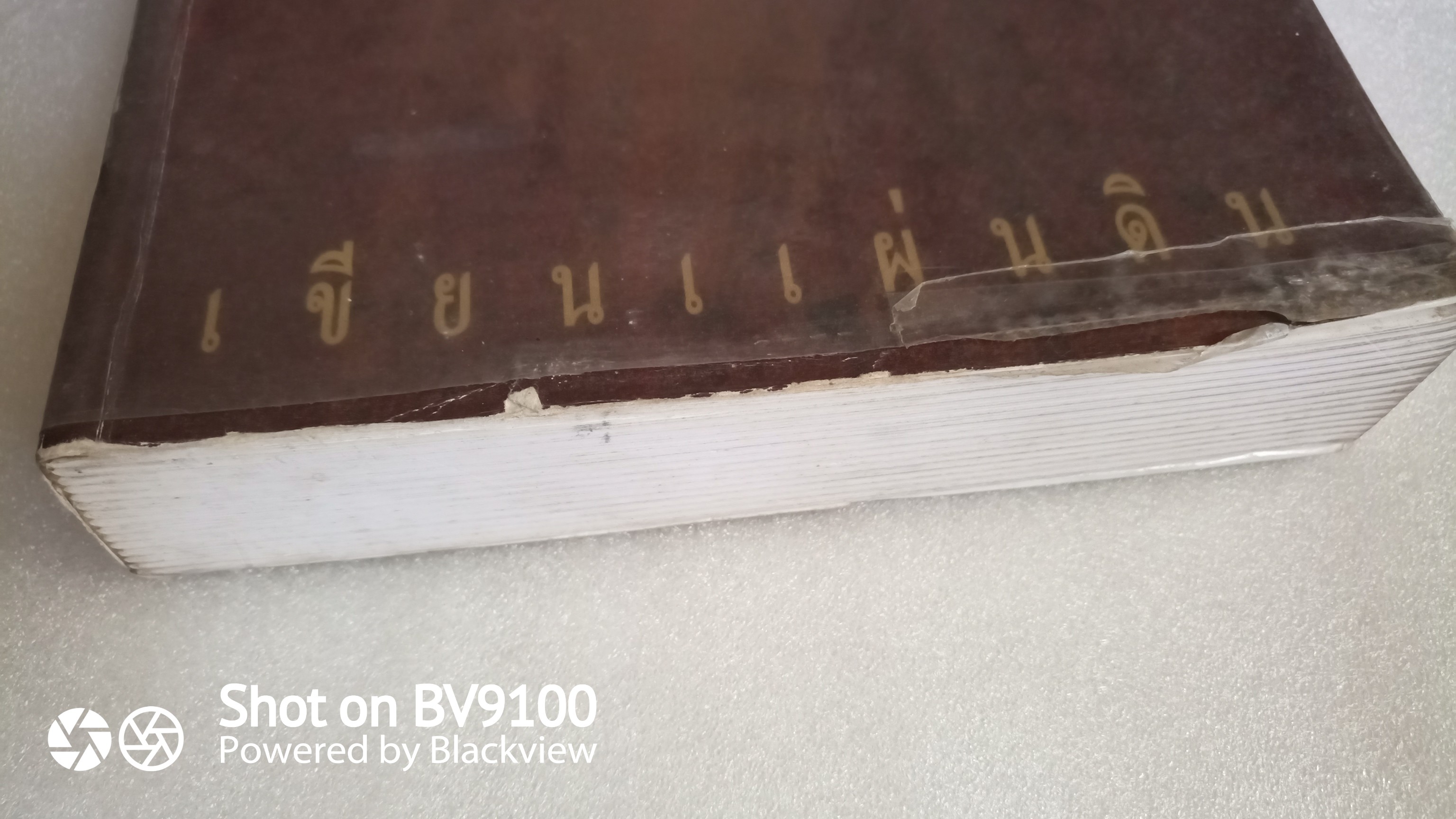 เขียนแผ่นดิน / เนาวรัตน์ พงษ์ไพบูลย์