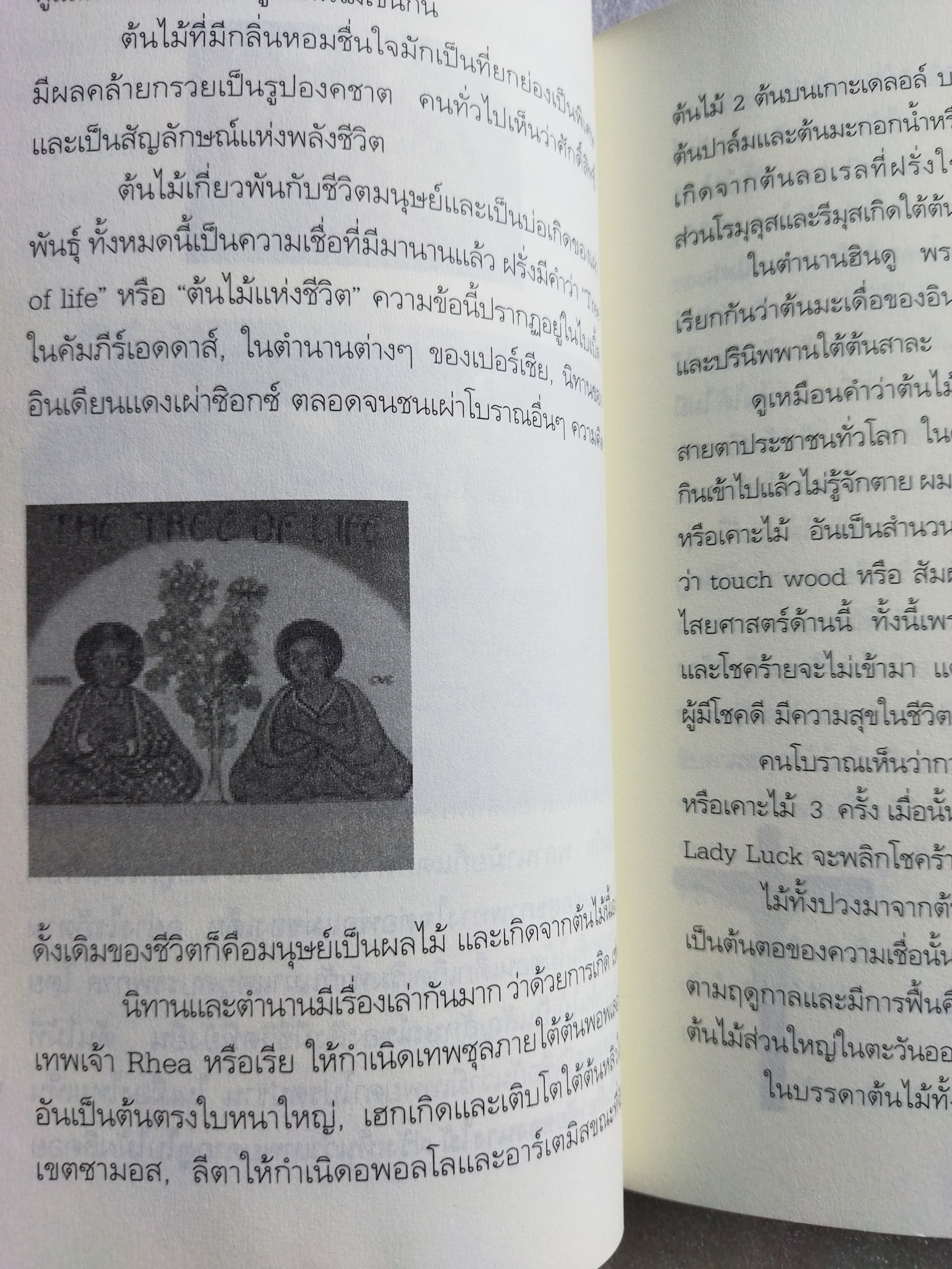 เรื่องราวแห่งสวนและที่มาแห่งคำ / นพพร สุวรรณพานิช