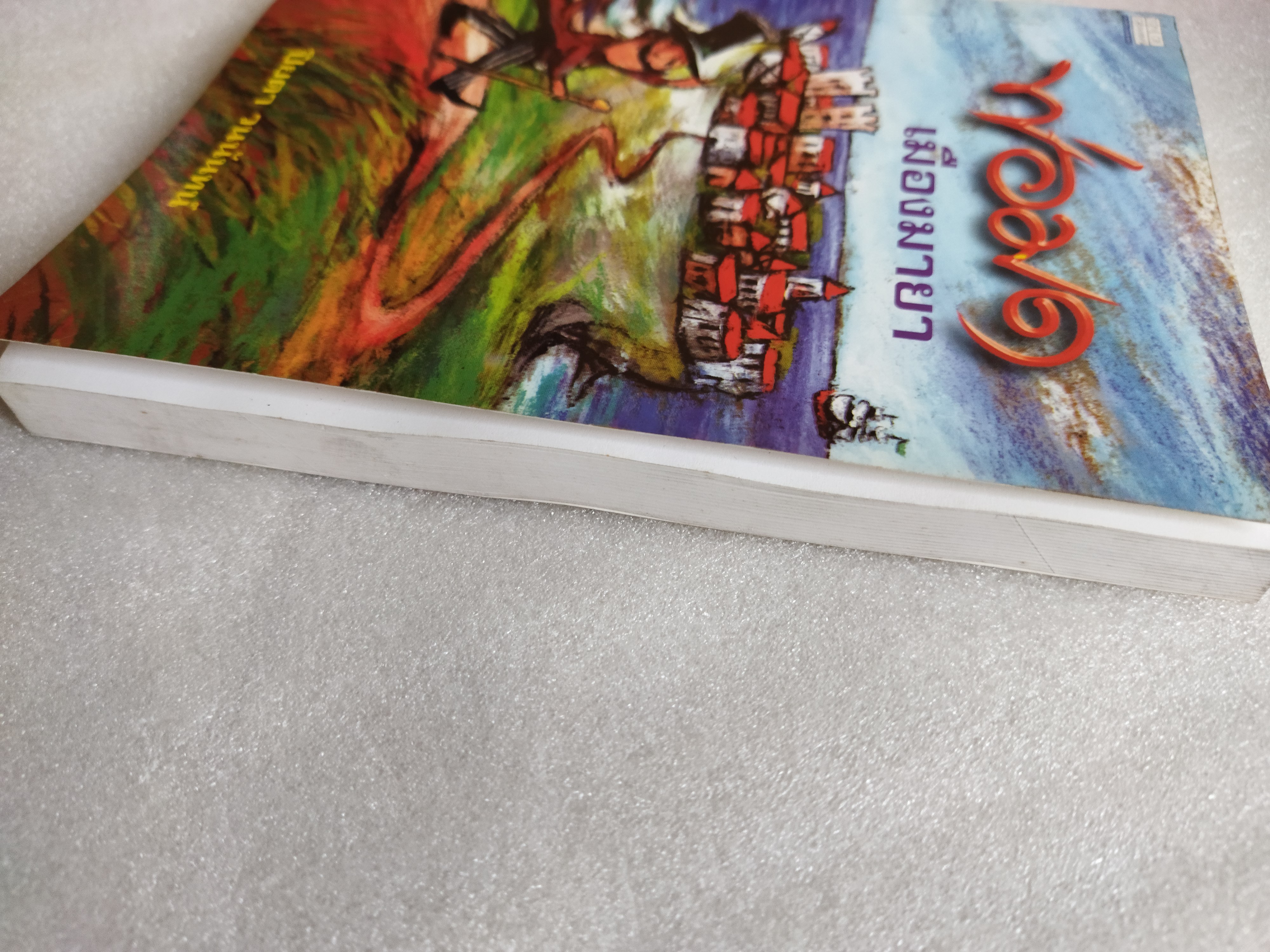 พ่อมดเมืองมายา / ปิยตา วนนันทน์