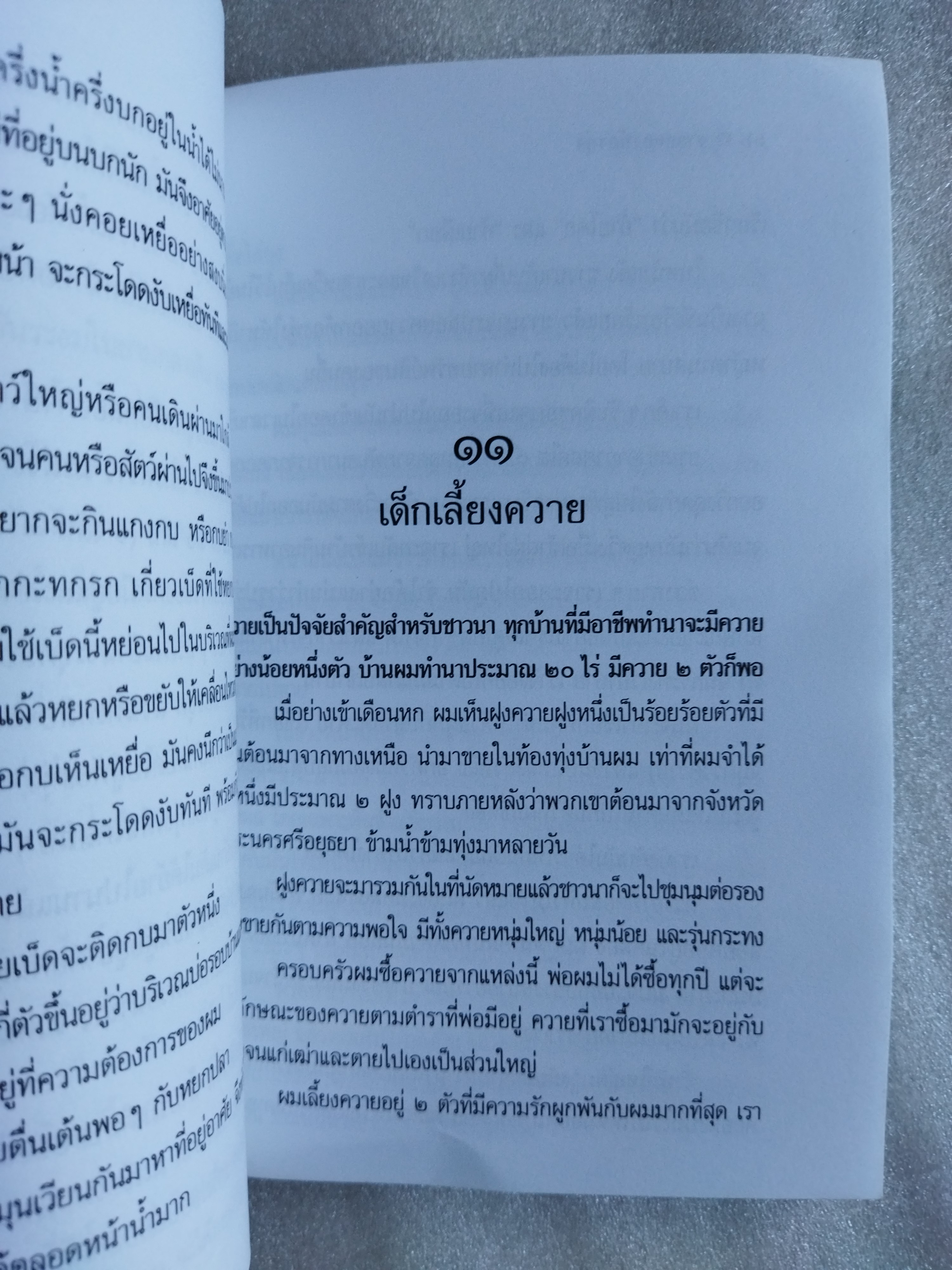 ชายคลองท้องทุ่ง / มะเดื่อ เสมา