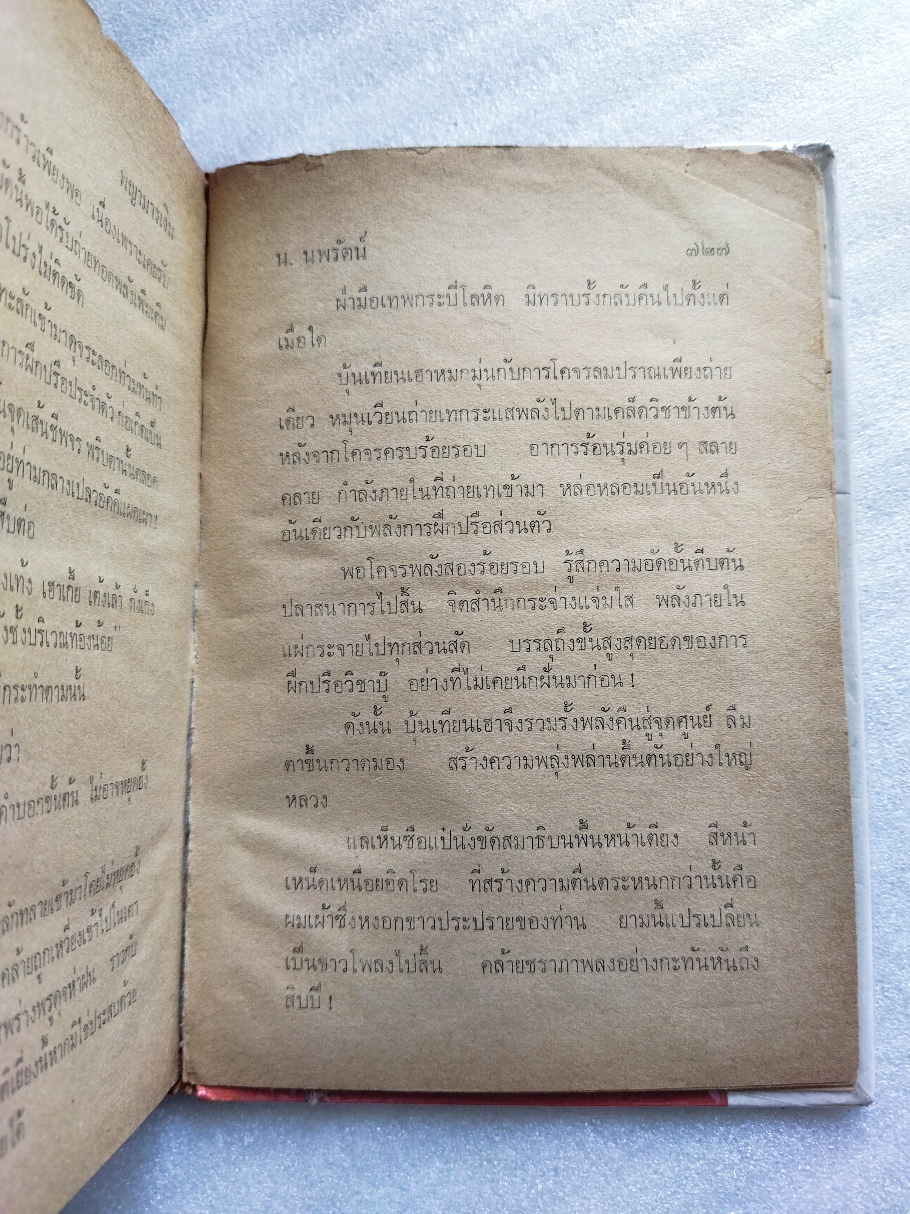 พญามารเงิน *ตำหนิ