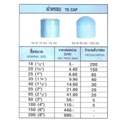ฝาครอบ พีวีซี (TS Cap) หนา