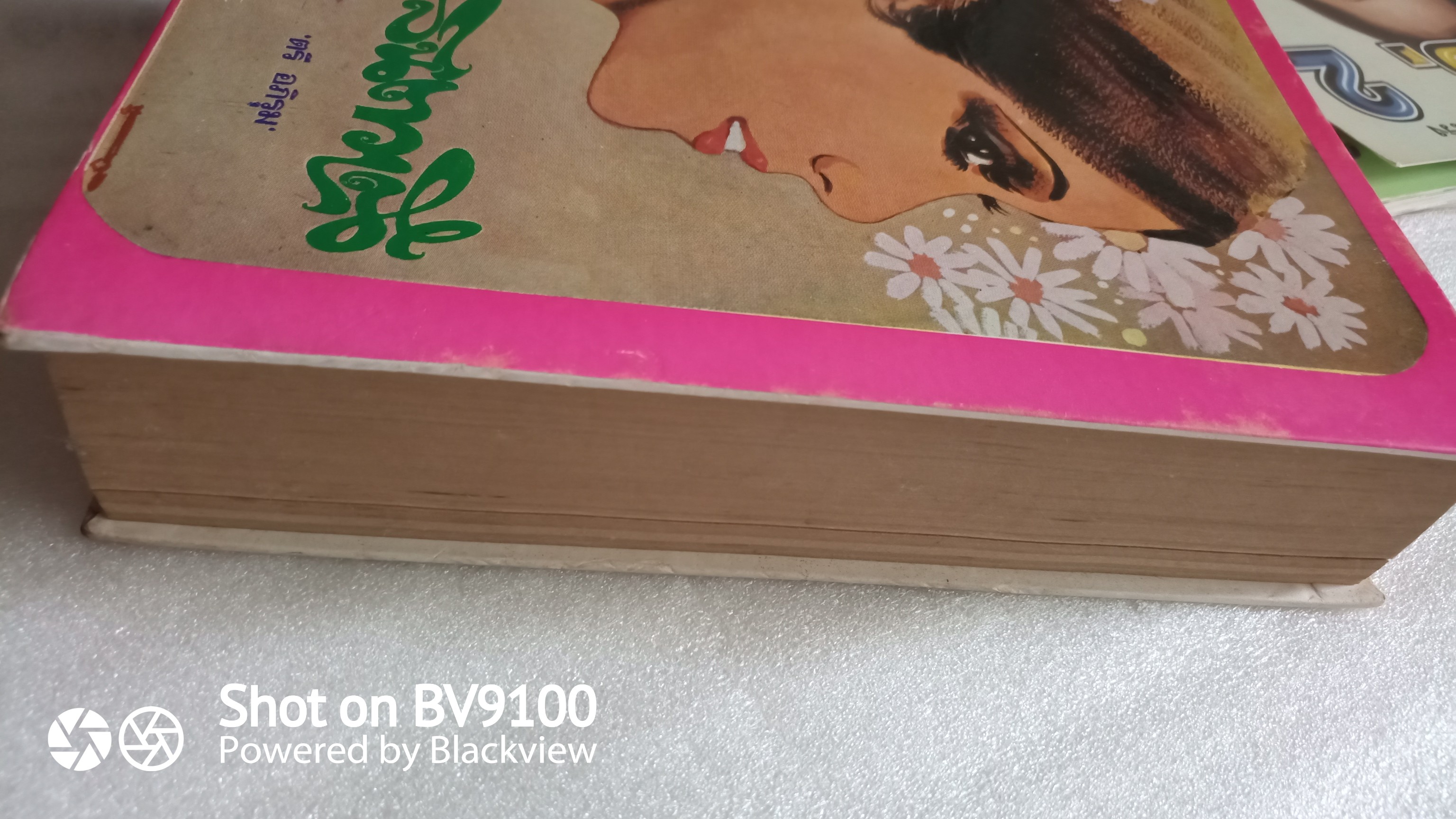 จิตวาณี เล่ม1 / ตรี อภิรุม