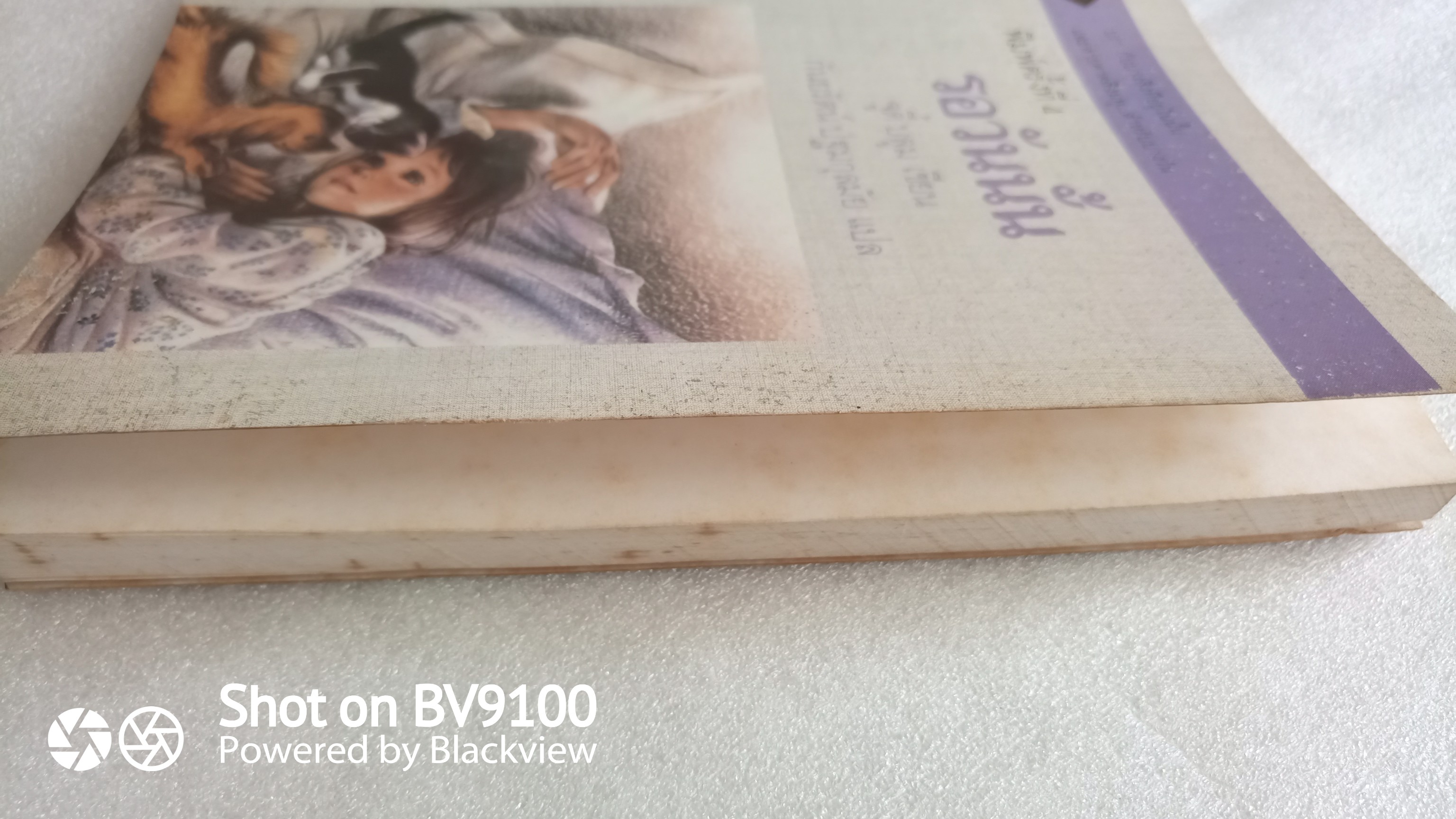 รอวันนั้น / จูดี้ บลูม