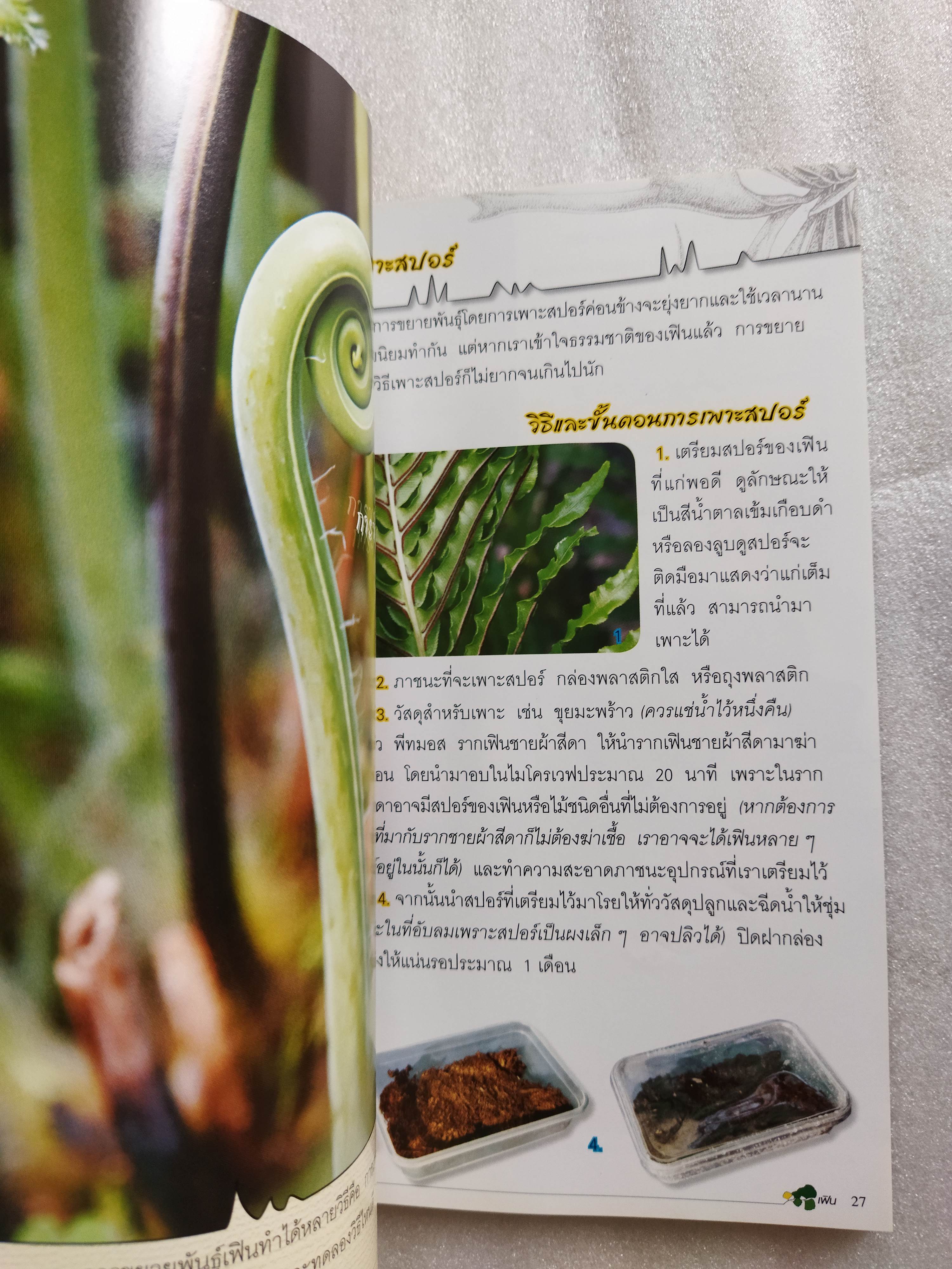 ร้อยพรรณพฤกษา เฟิน